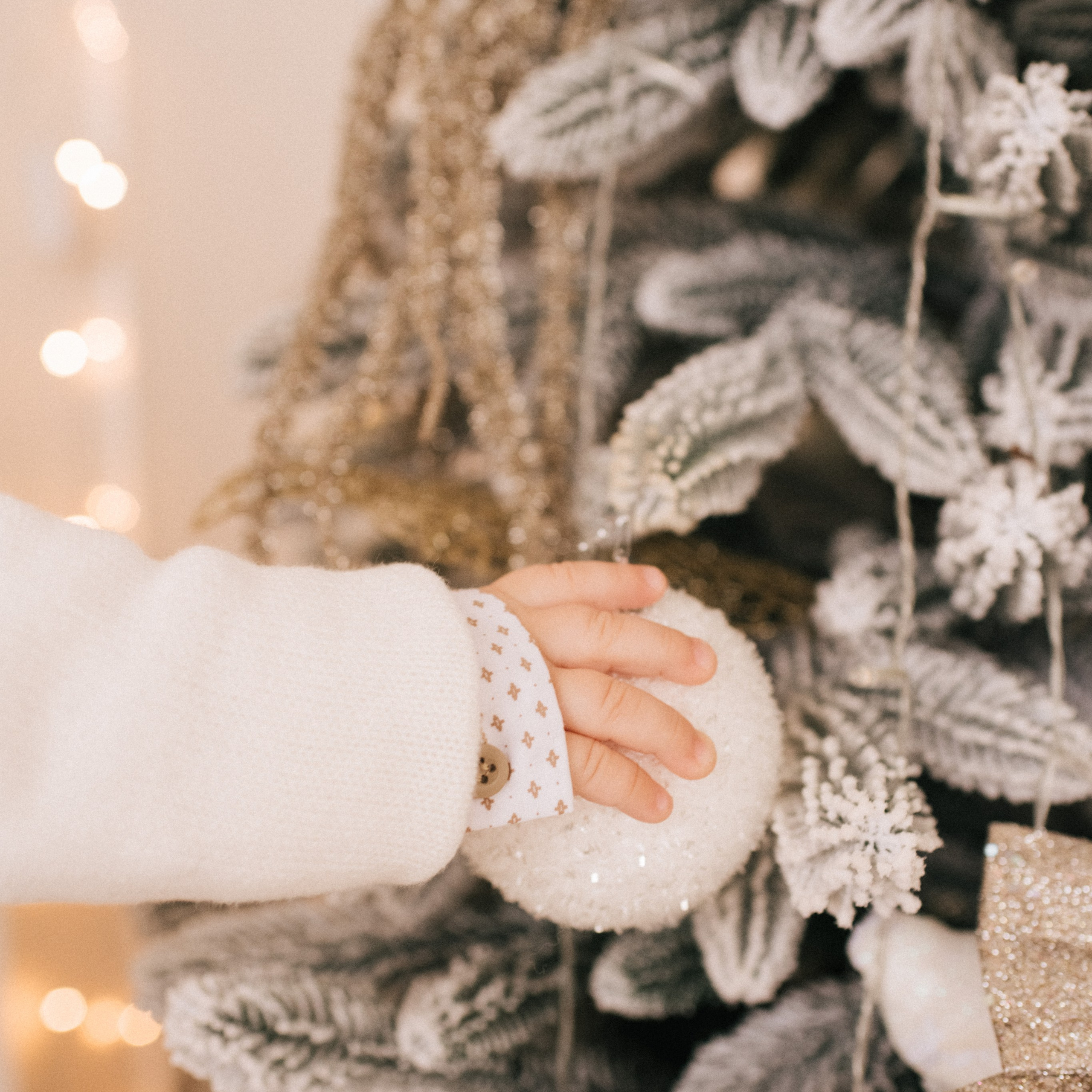 Отзывы. Фотограф Алиса Чечина. Калуга. Товарково