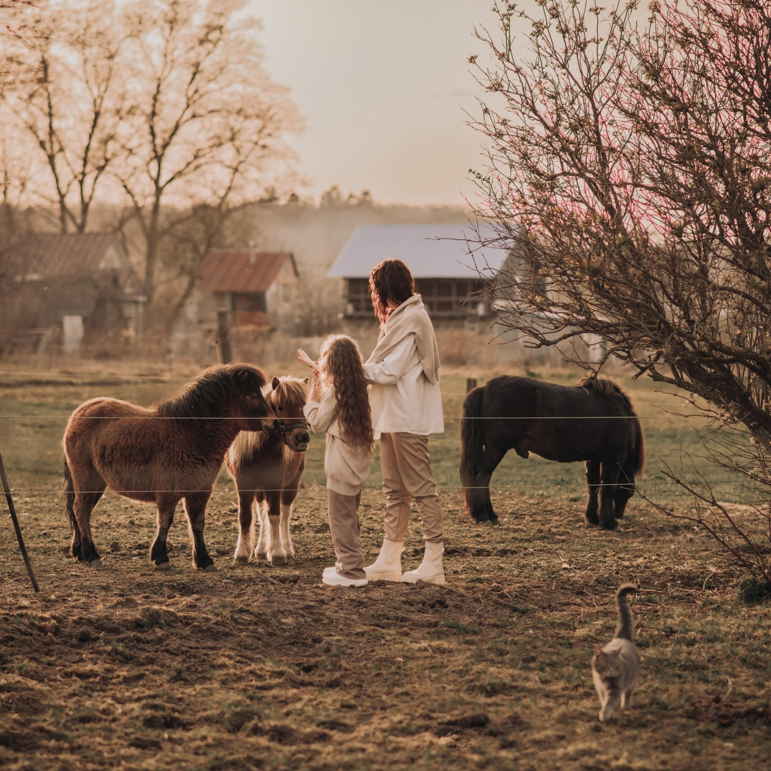 Отзывы. Фотограф Алиса Чечина. Калуга. Товарково