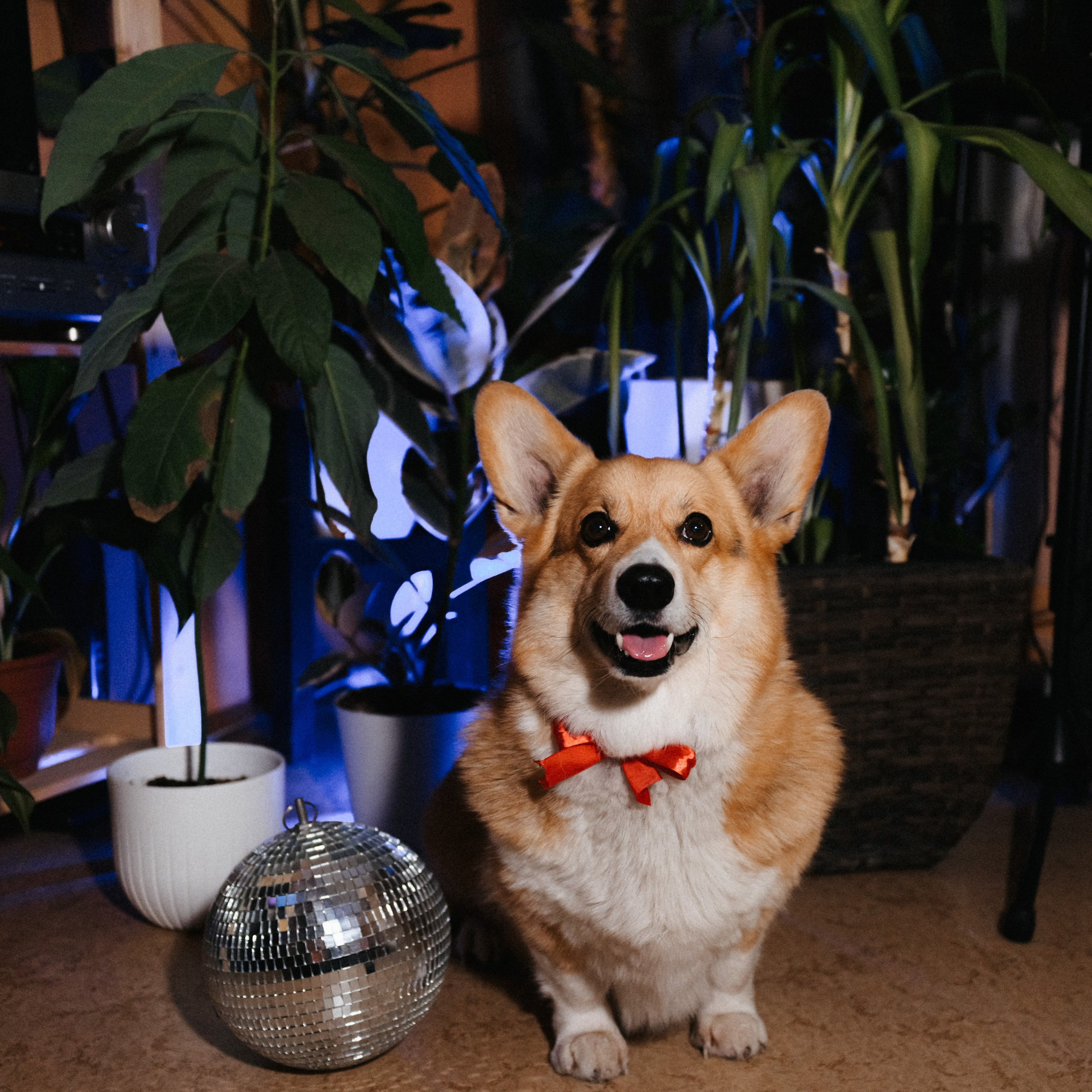 Отзывы. Портретный фотограф в Ярославле Юлия Румянцева