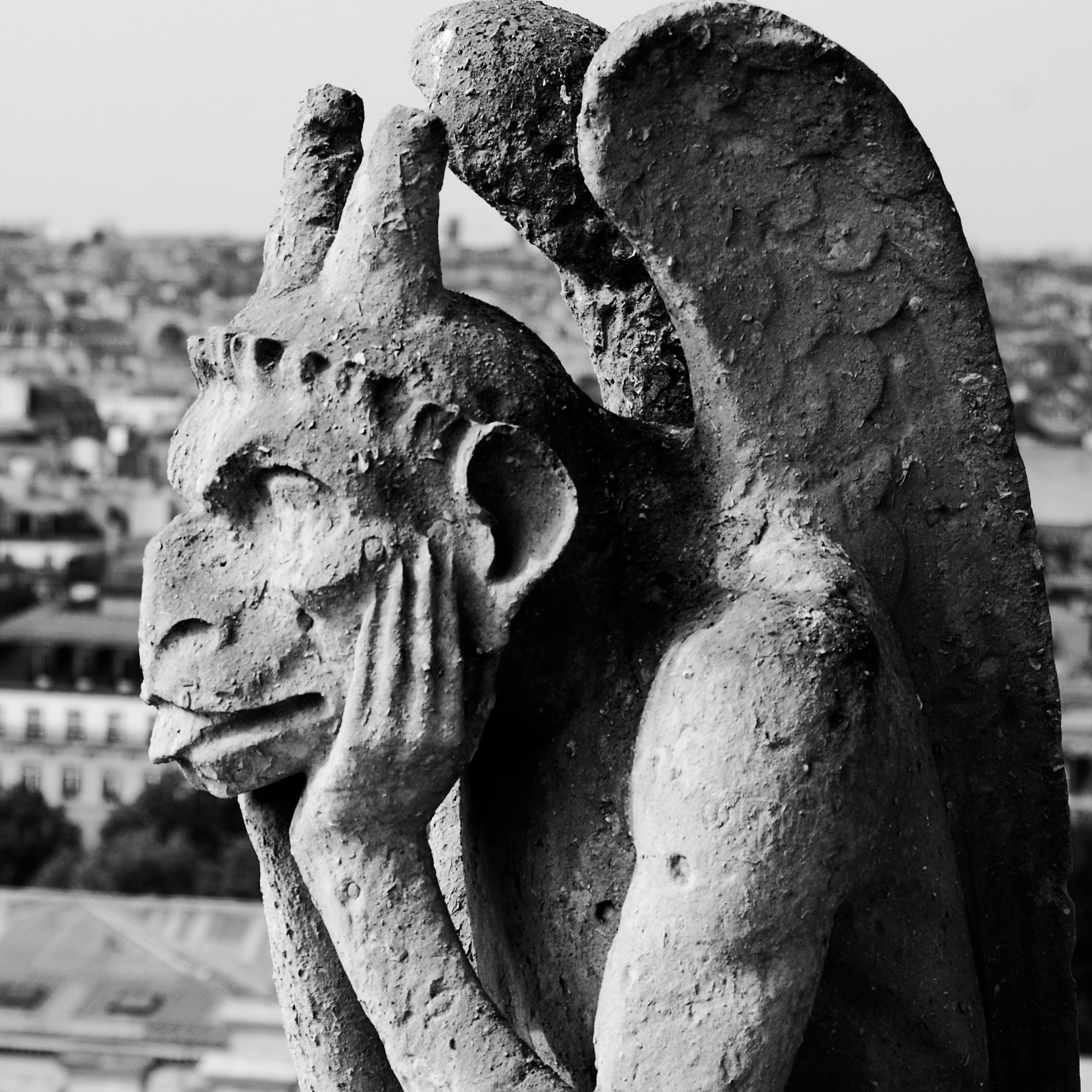 Путешествия