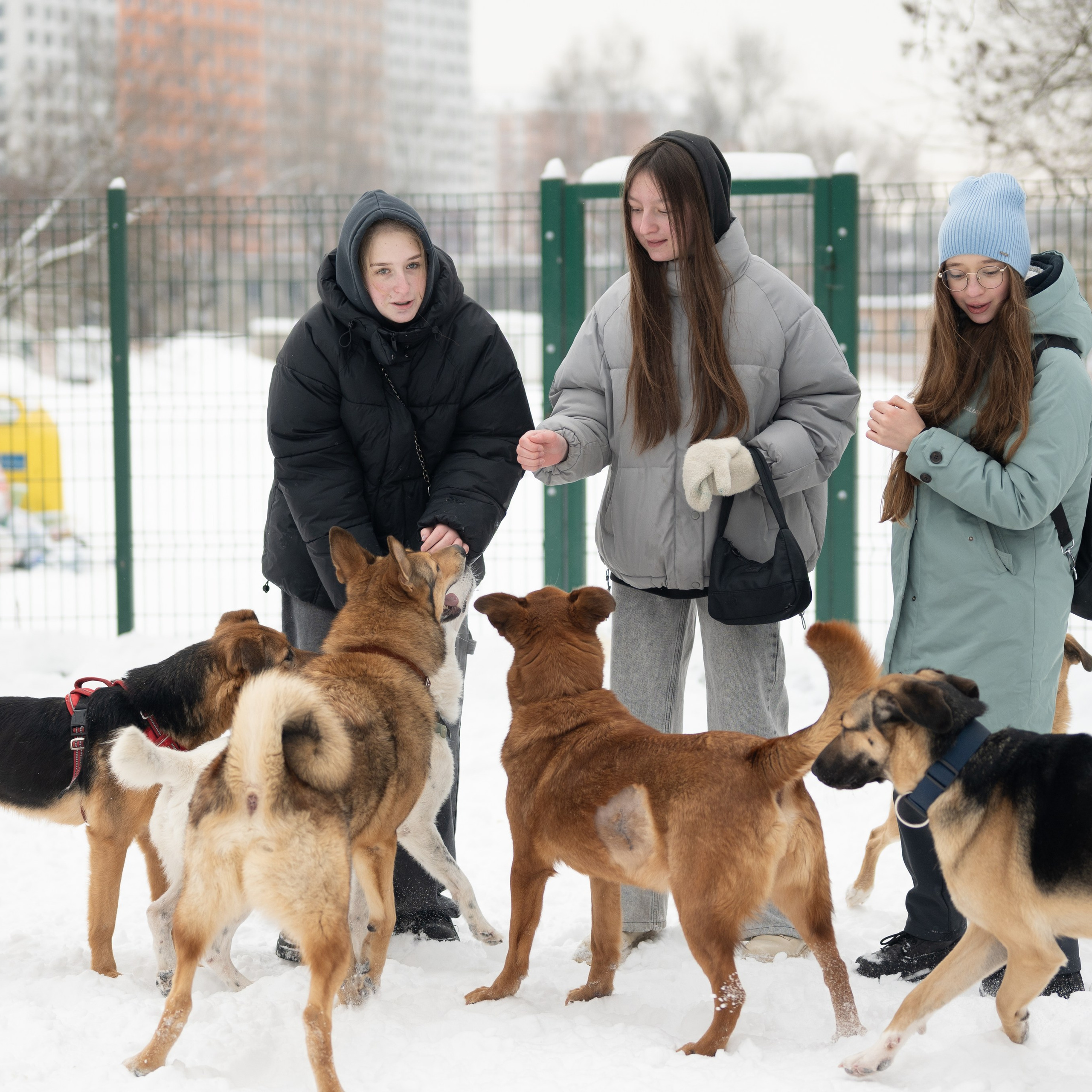 Приют «Искра»