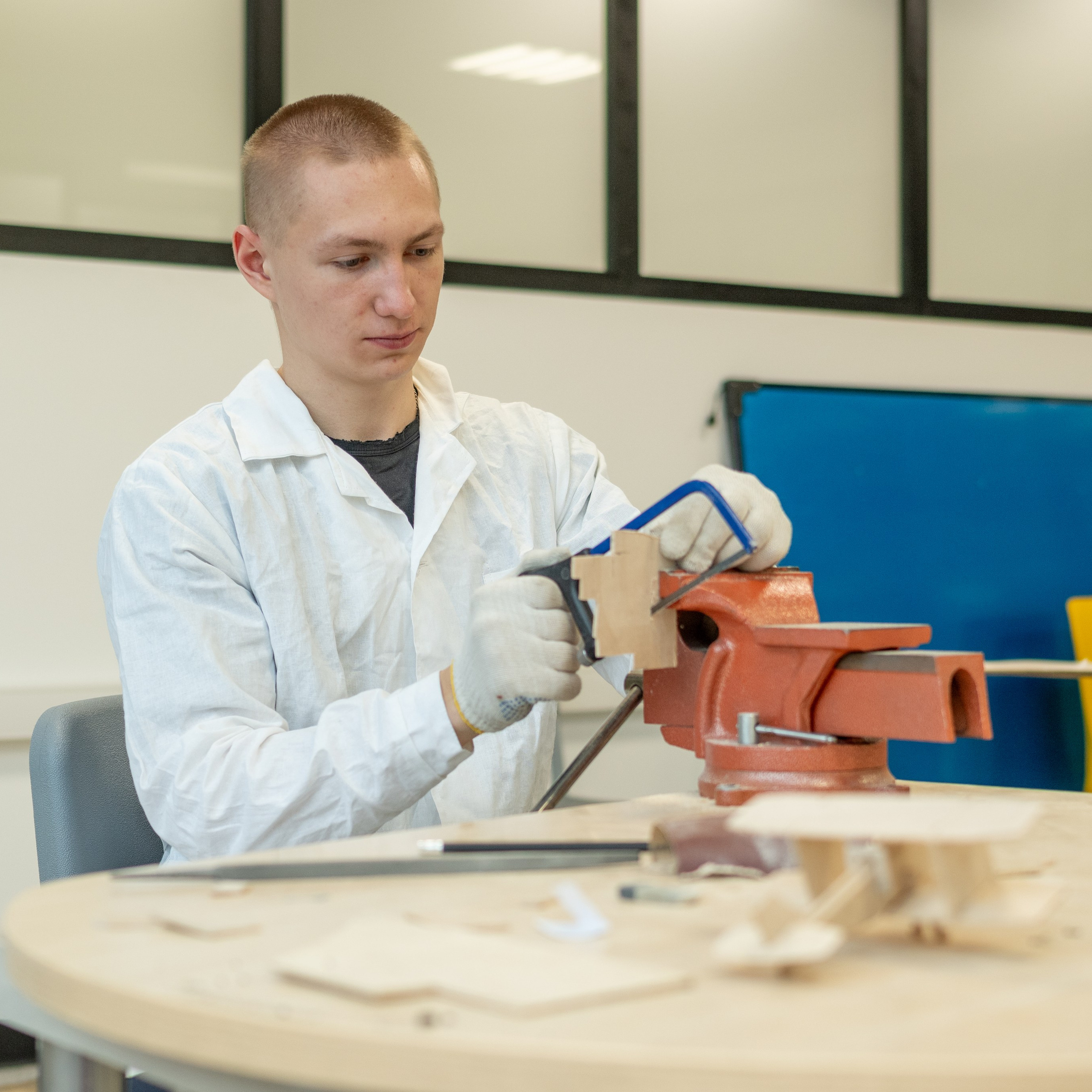 проект «Летающие мечты»