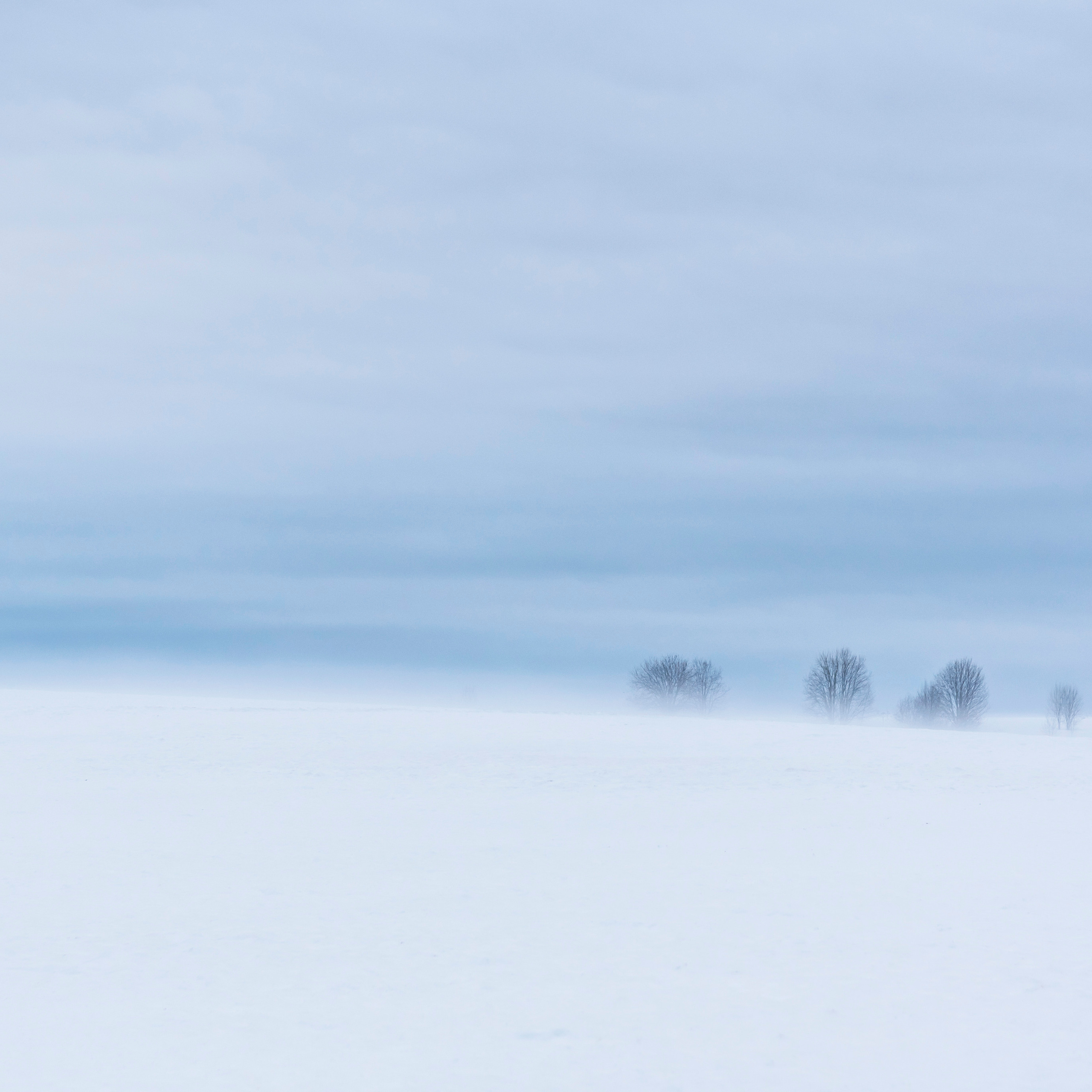 Отдельные работы. Арт фотограф Александр Лефлер