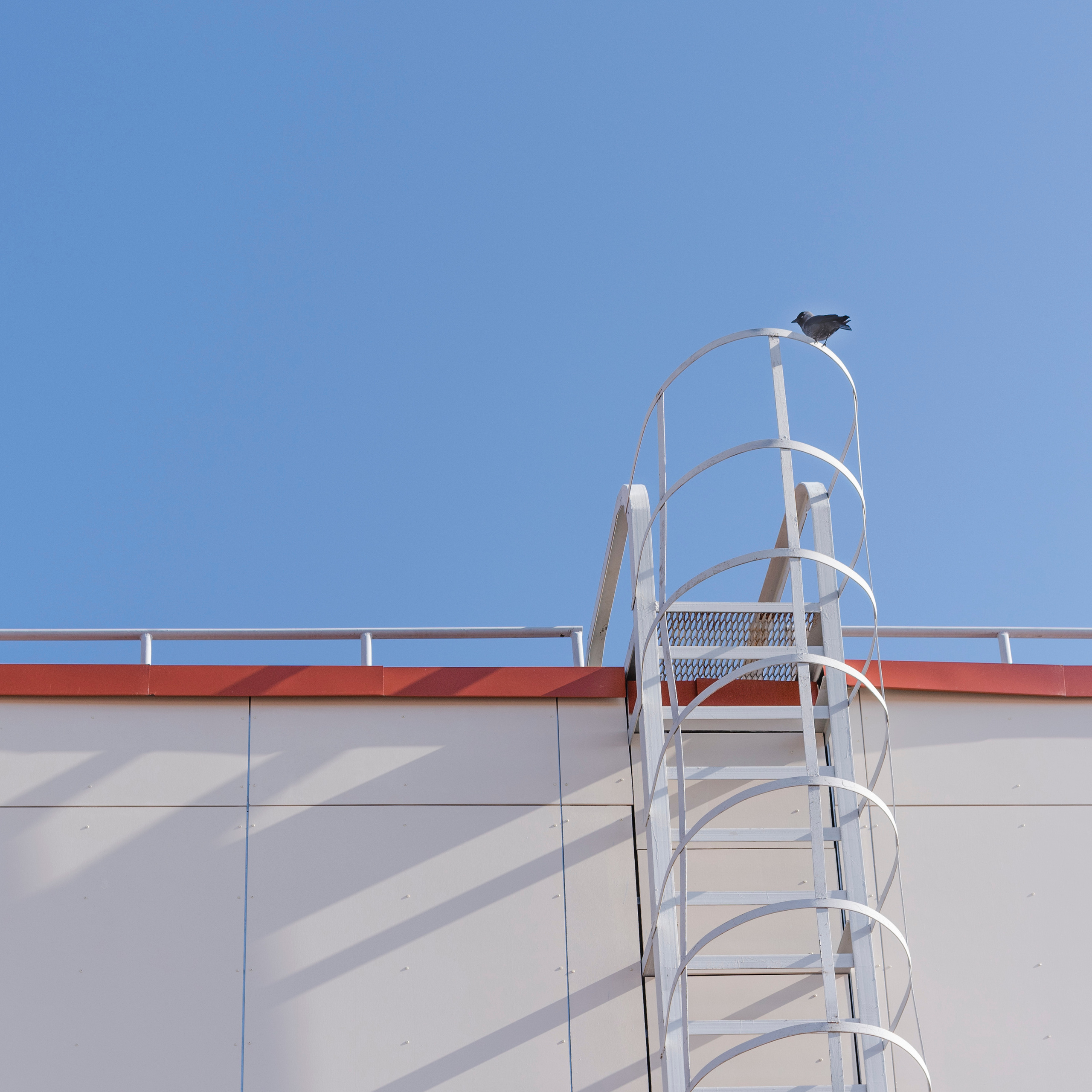 Отдельные работы. Арт фотограф Александр Лефлер