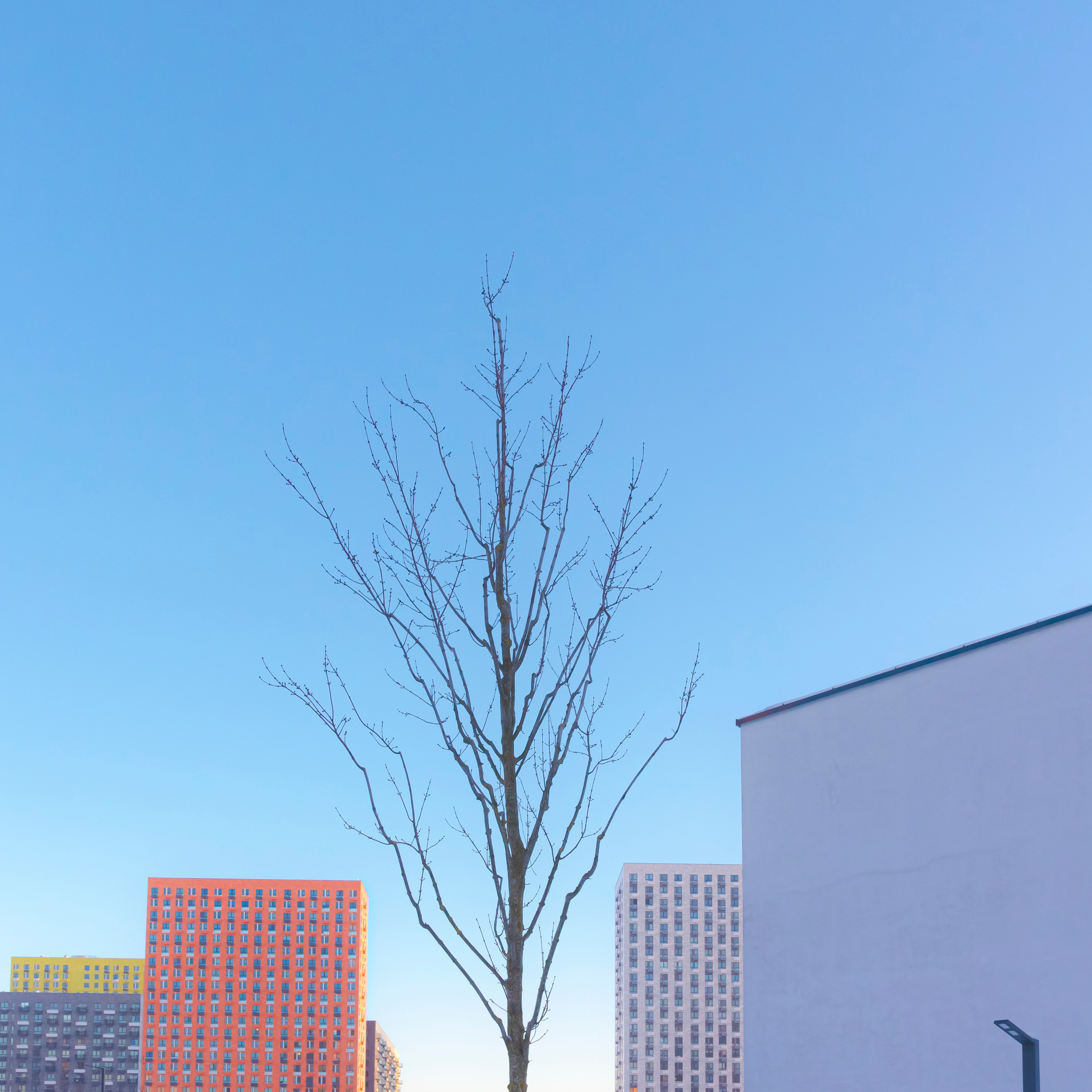 В промежутках. Арт фотограф Александр Лефлер