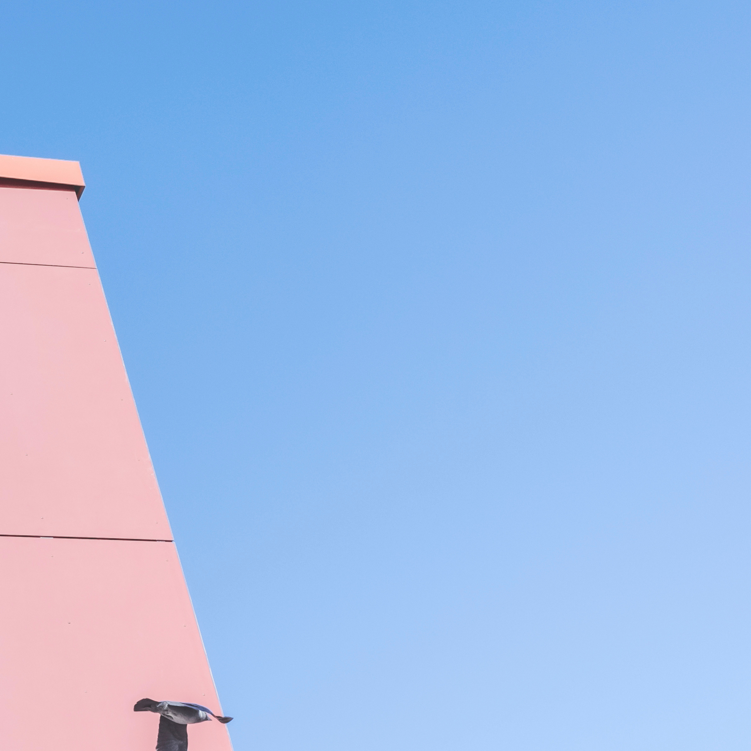 В промежутках. Арт фотограф Александр Лефлер