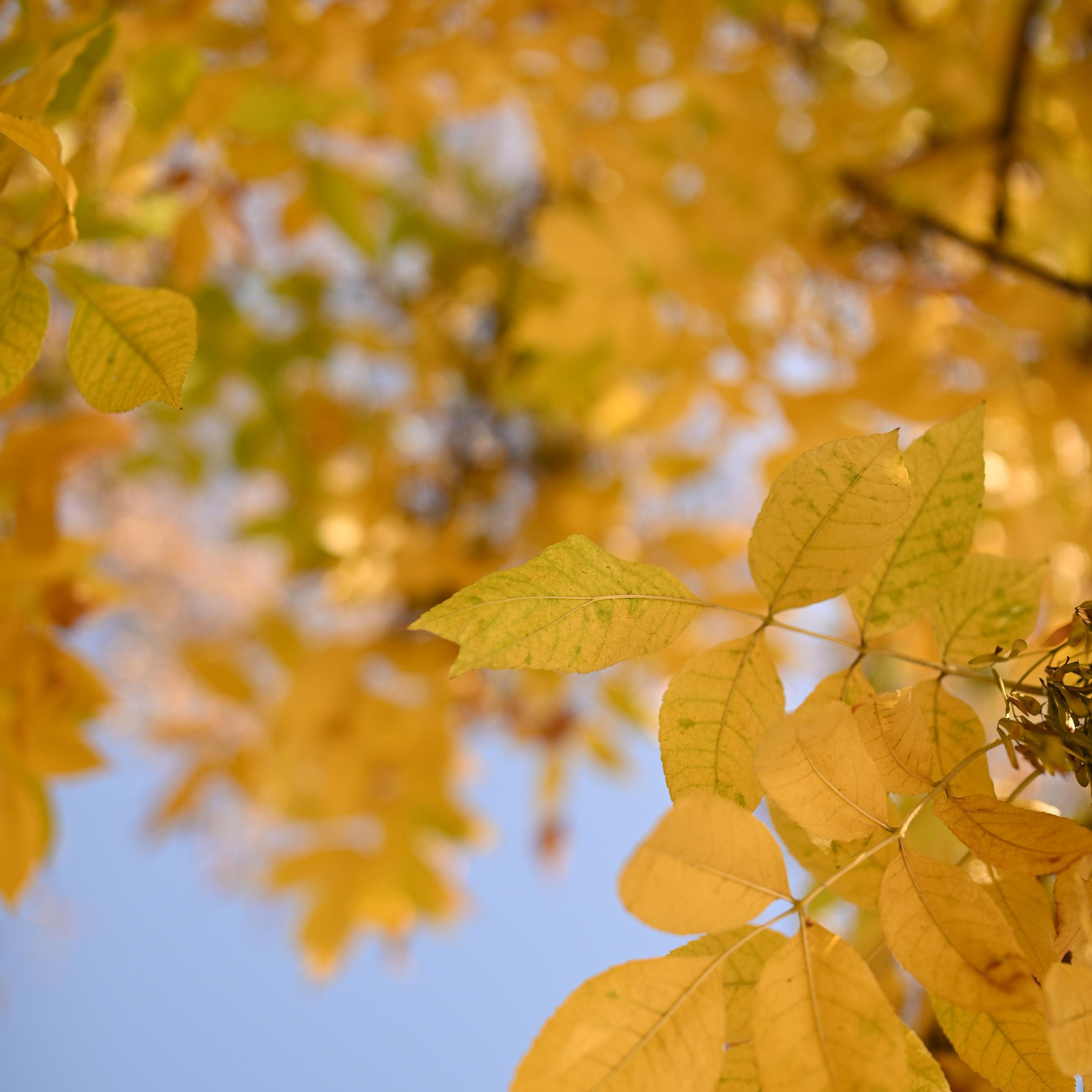 Отзывы. Семейный и детский фотограф в Москве Анна Оськина