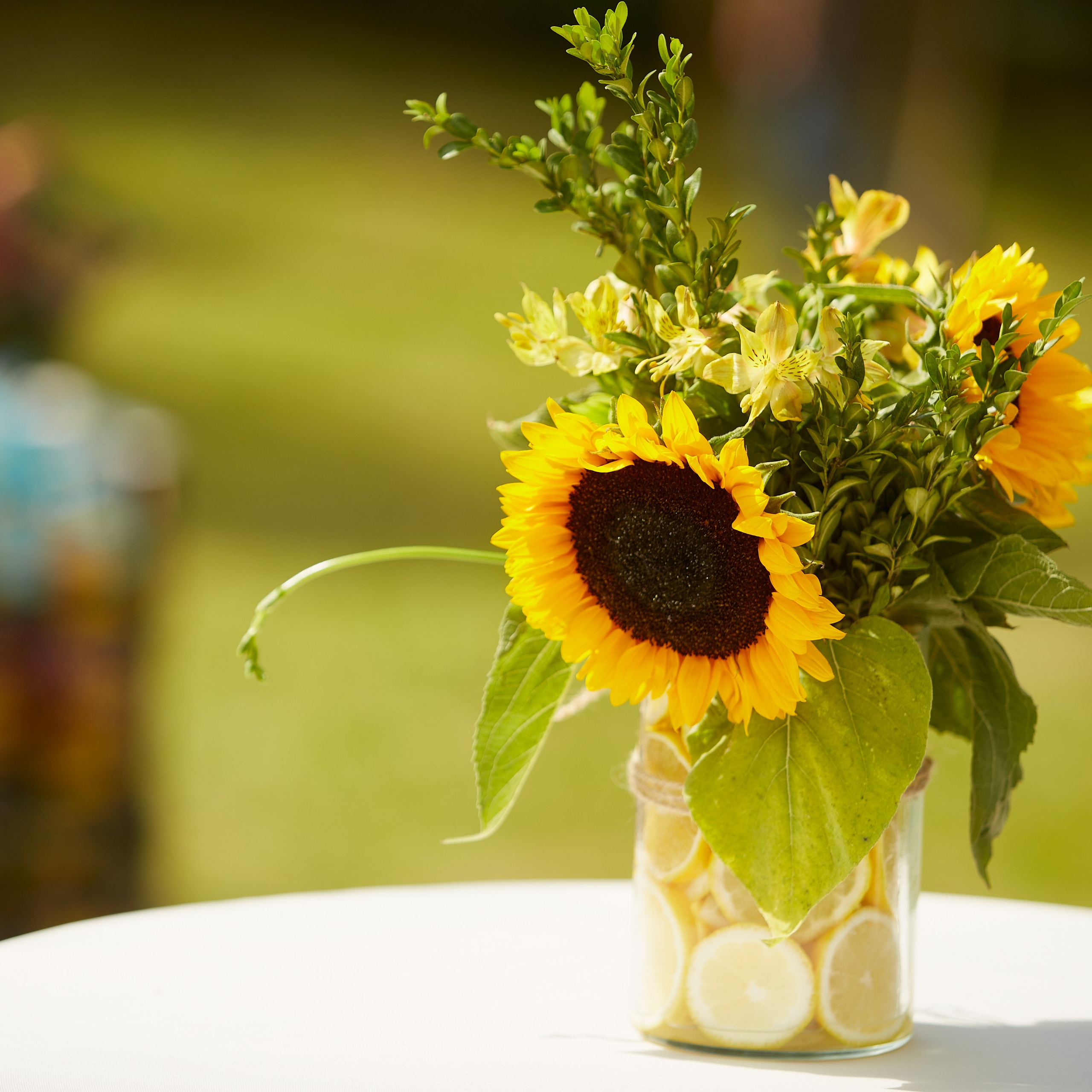 летняя встреча компании