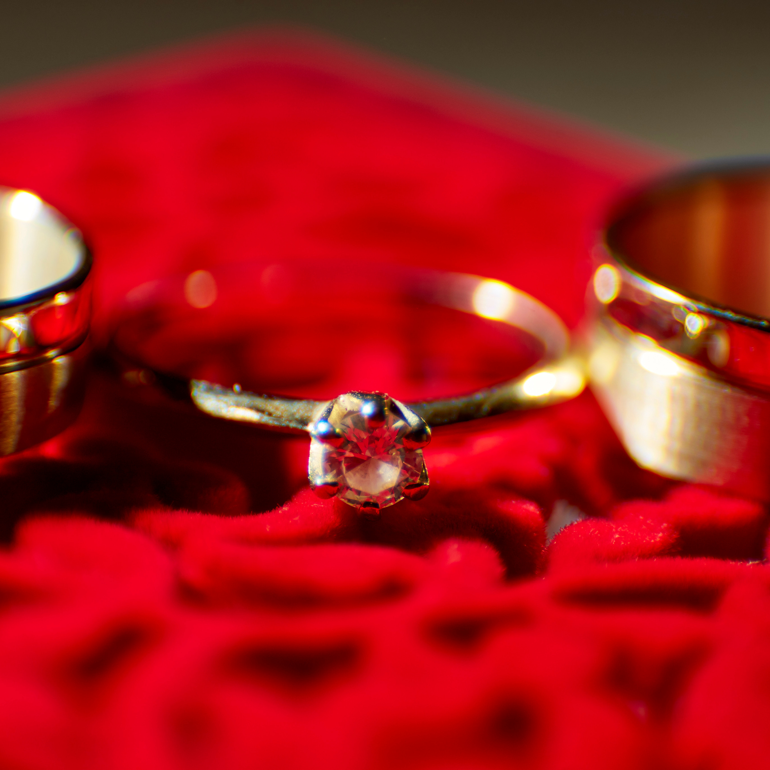 Анна и Владимир