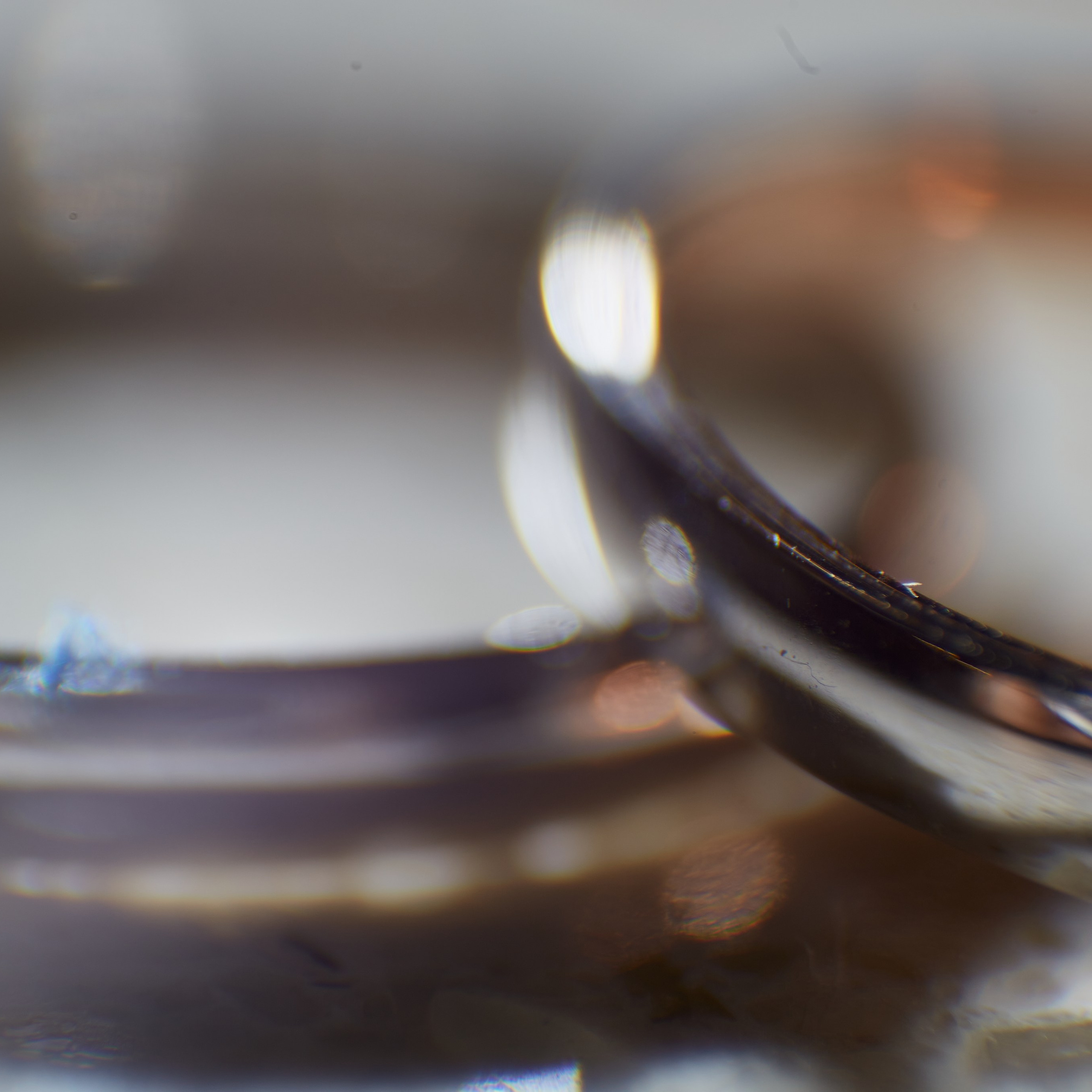 Лиза и Слава