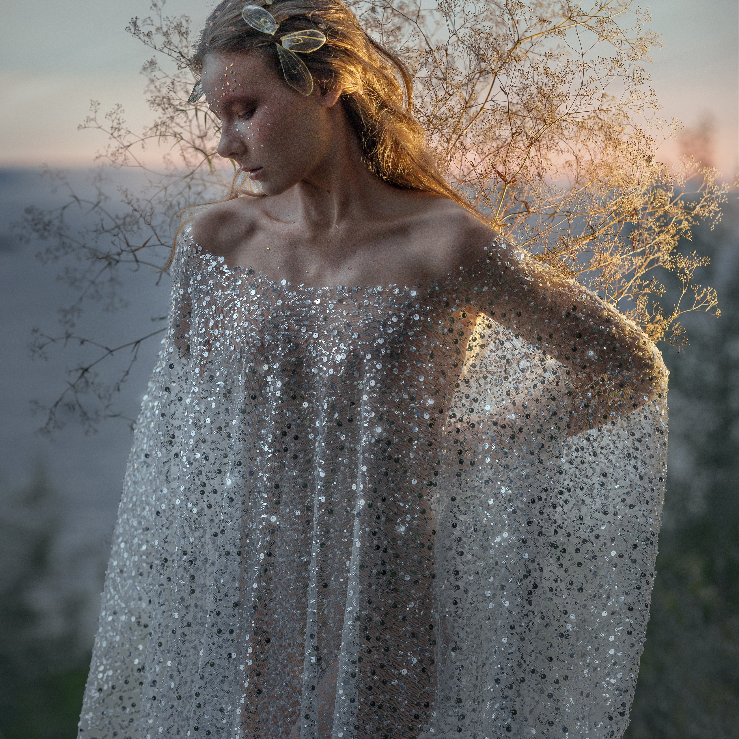 «Утренняя Роса», 2025 год