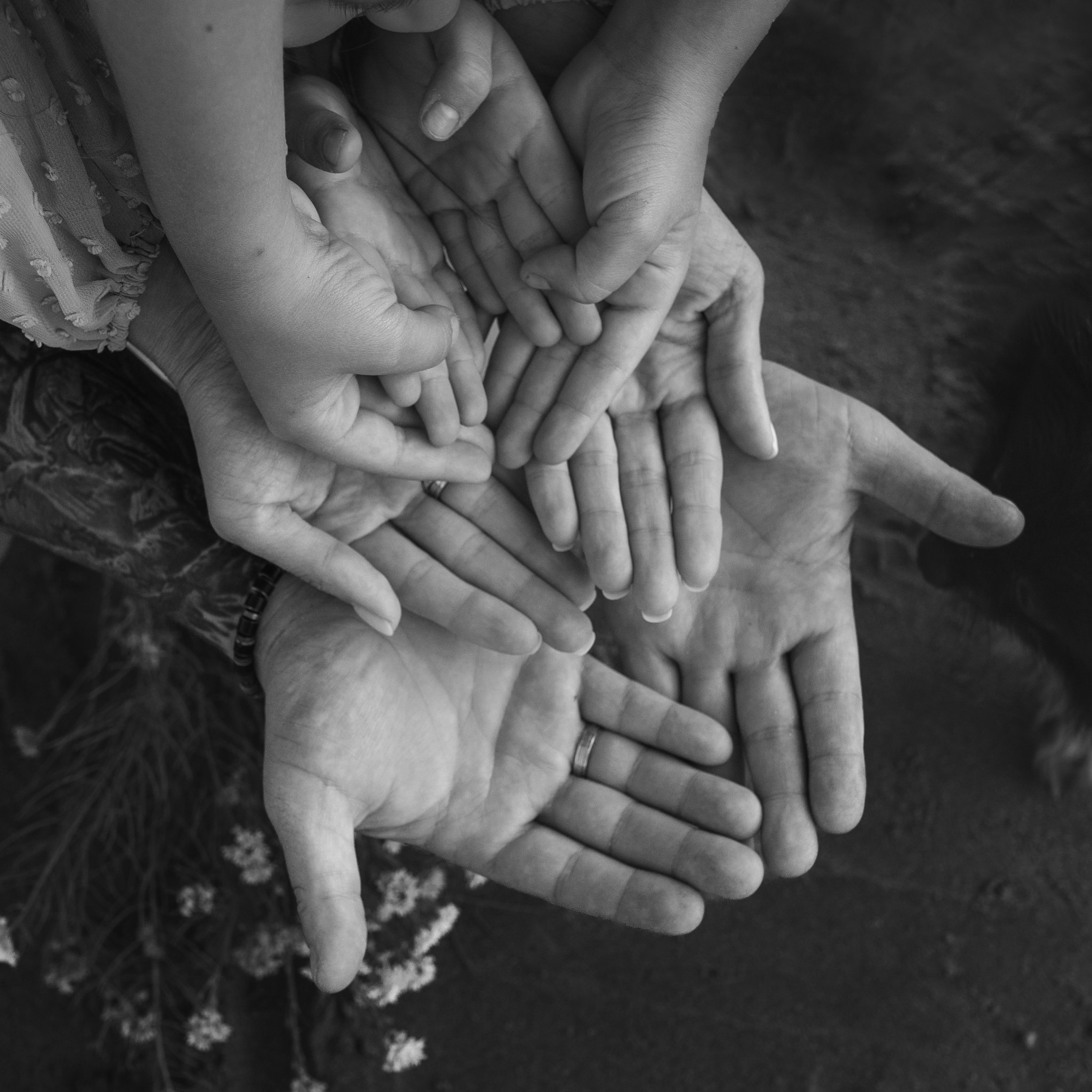 Семейные фотосессии на природе