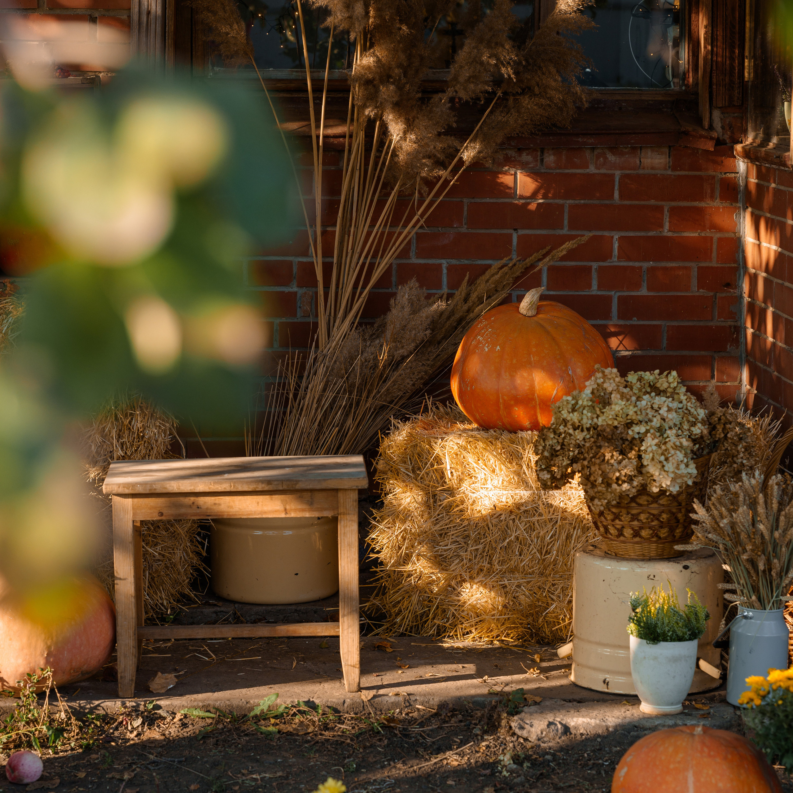 Отзывы. Фотохудожник в Тольятти и Самаре Валентина Суворова