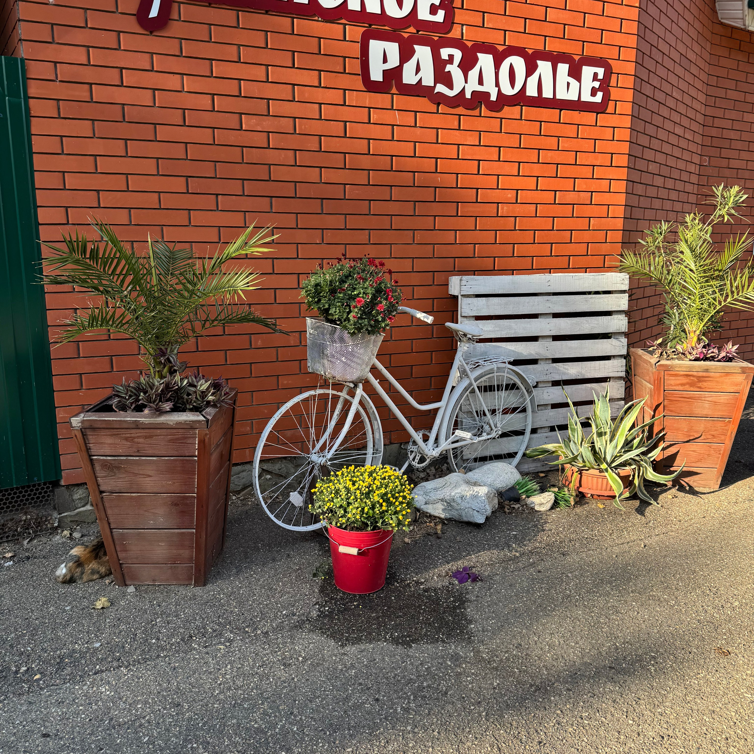 Отзывы. Фотограф Марина Водовозова в Динской | Краснодаре