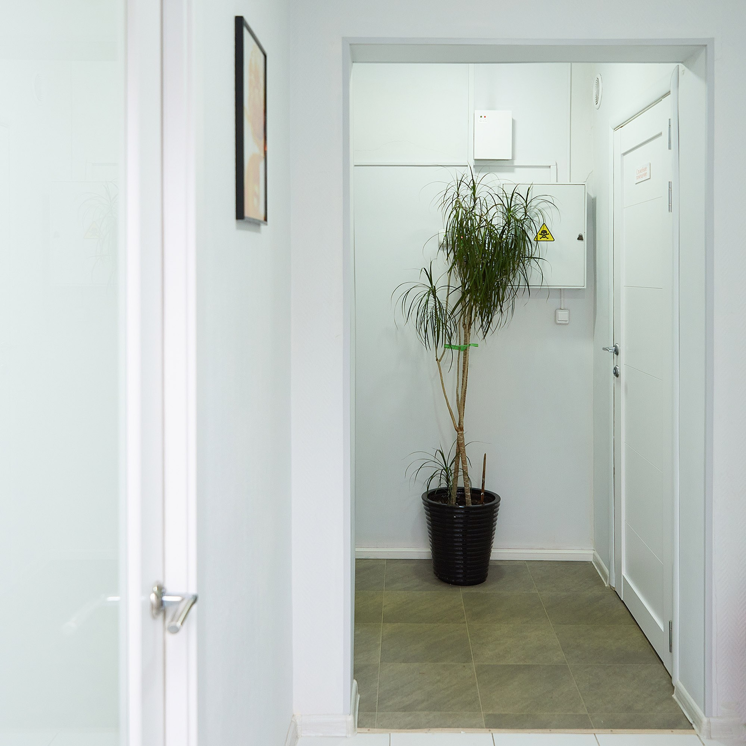 Интерьерная съёмка. Фотограф для жизни, бизнеса и соц сетей Ирина Нечет, Владивосток