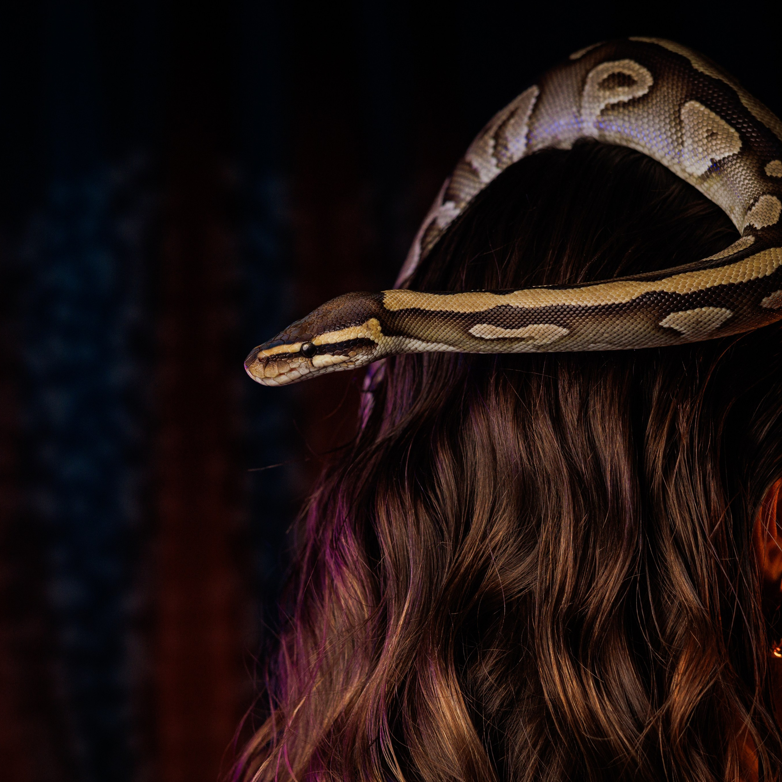 Виктория. Фотосессия в&nbsp;студии со&nbsp;змеей