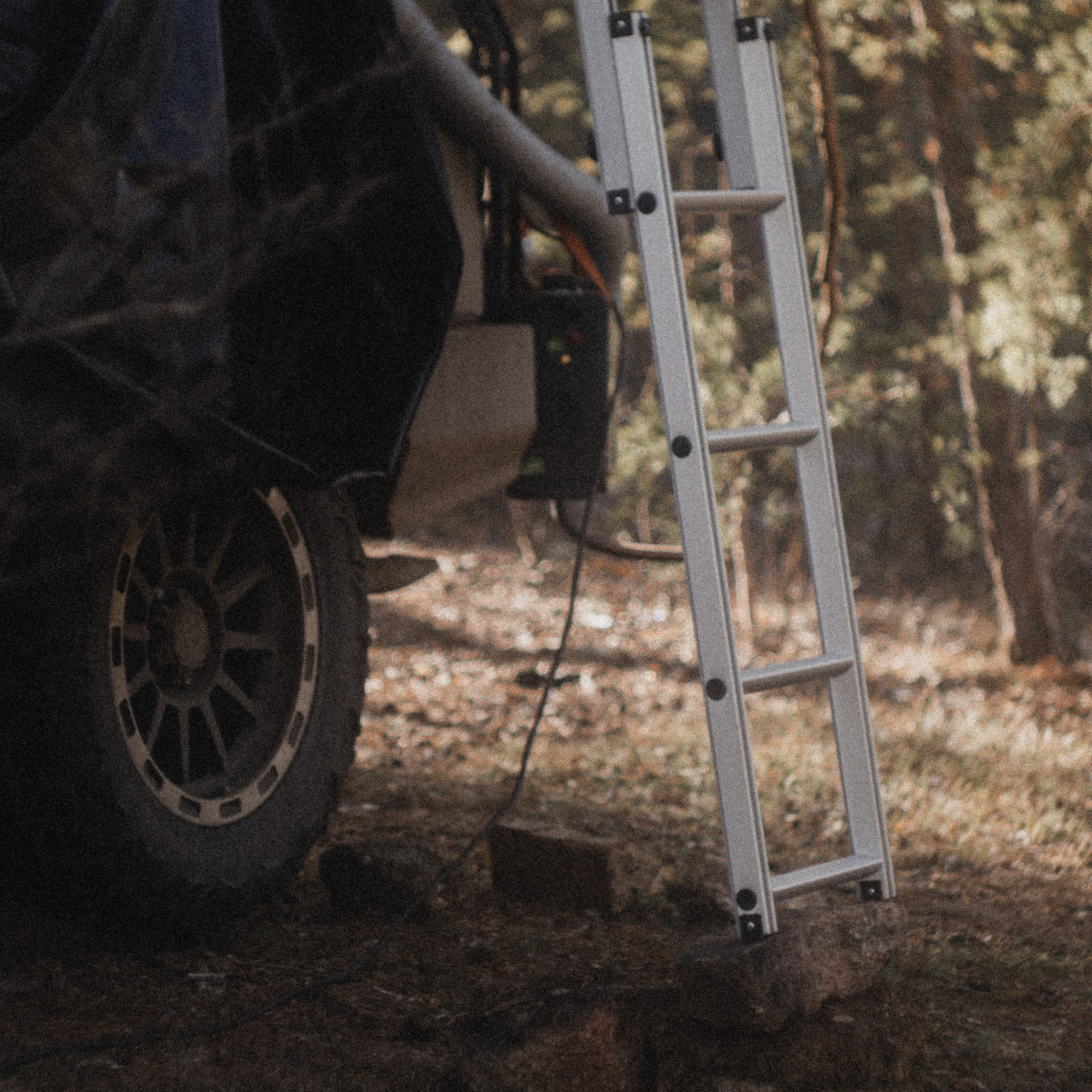 Джип-тур по заповеднику × Казахстан