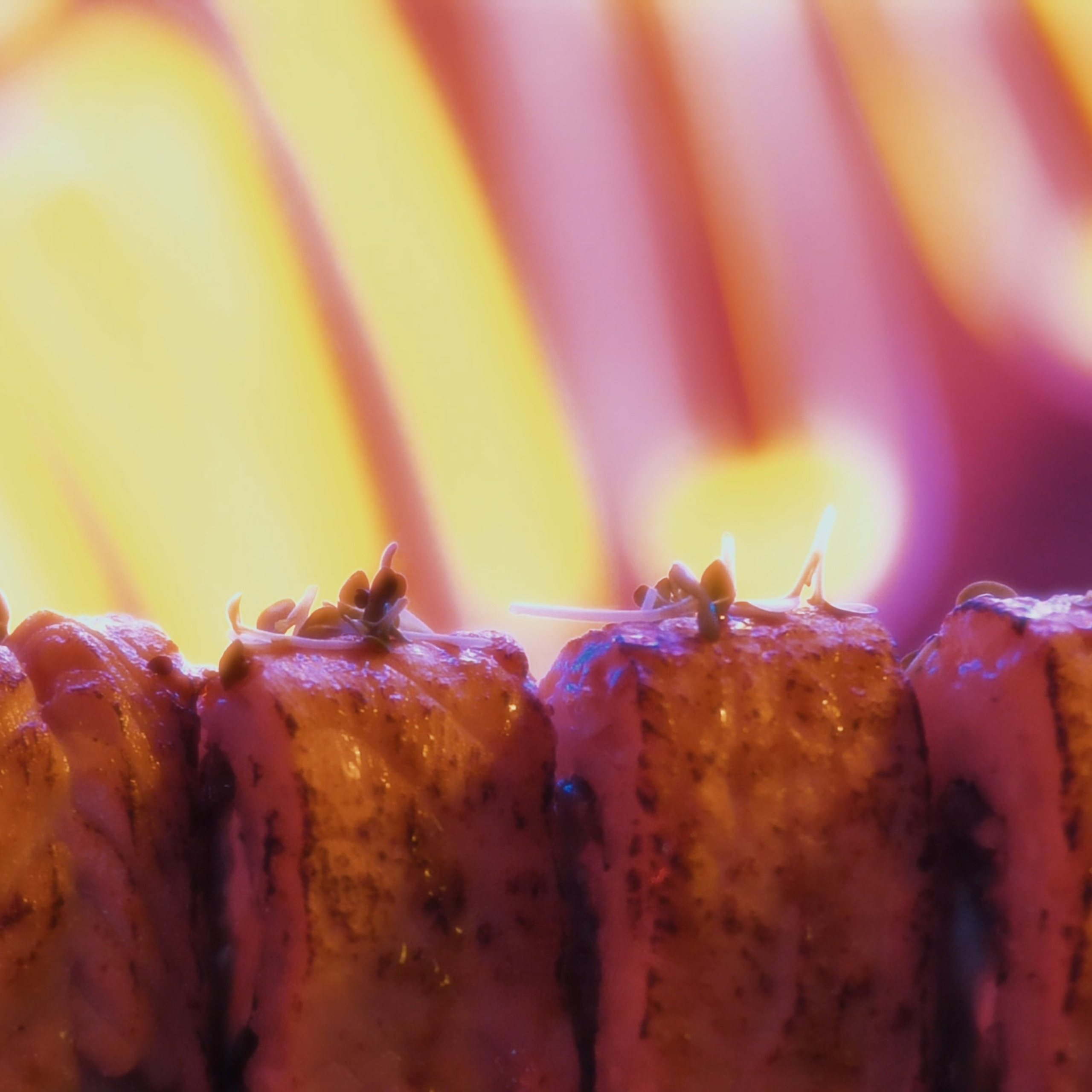 Контент для ресторана × No Spicy, Please!