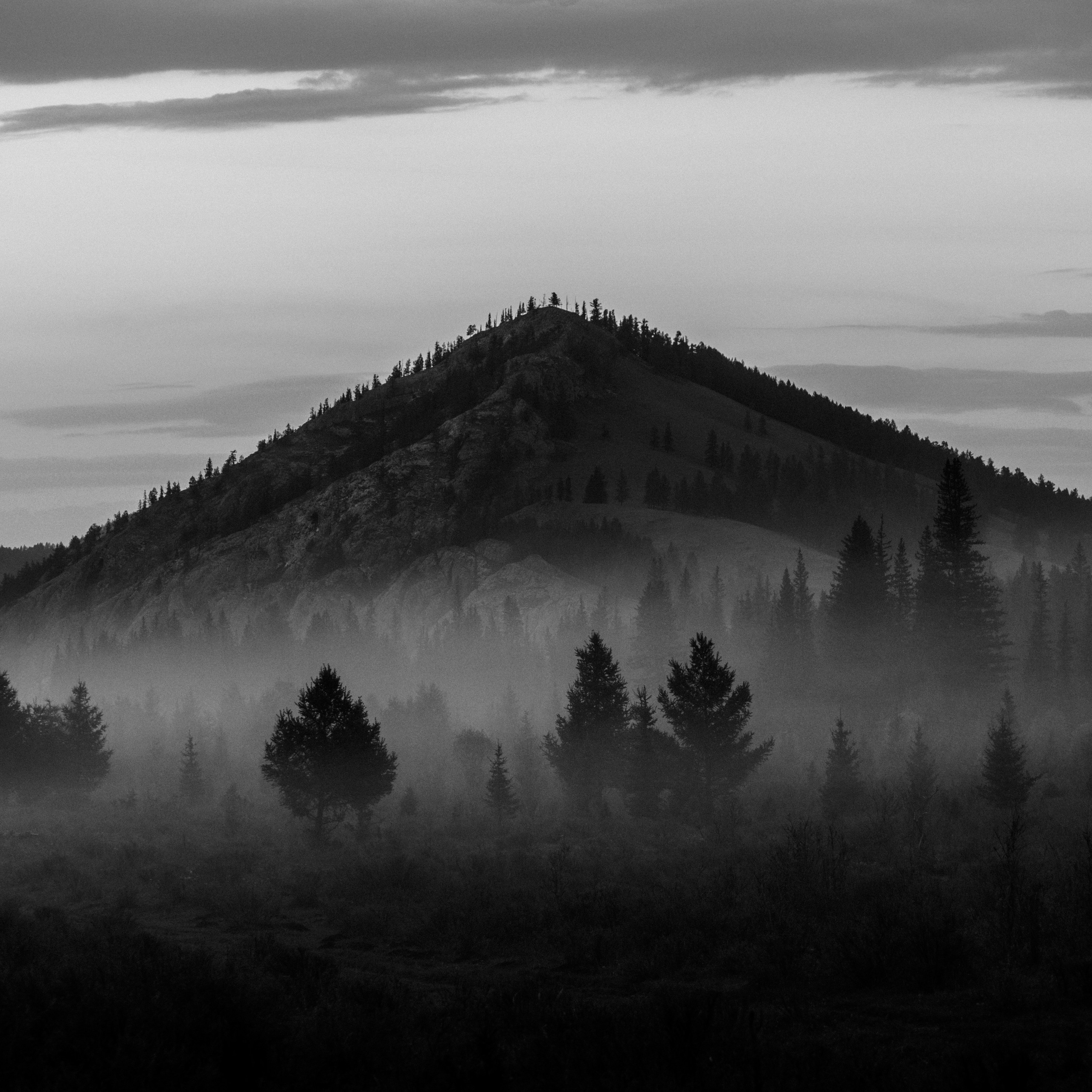 Природа. Видеооператор приключений × Сергей Скрынник