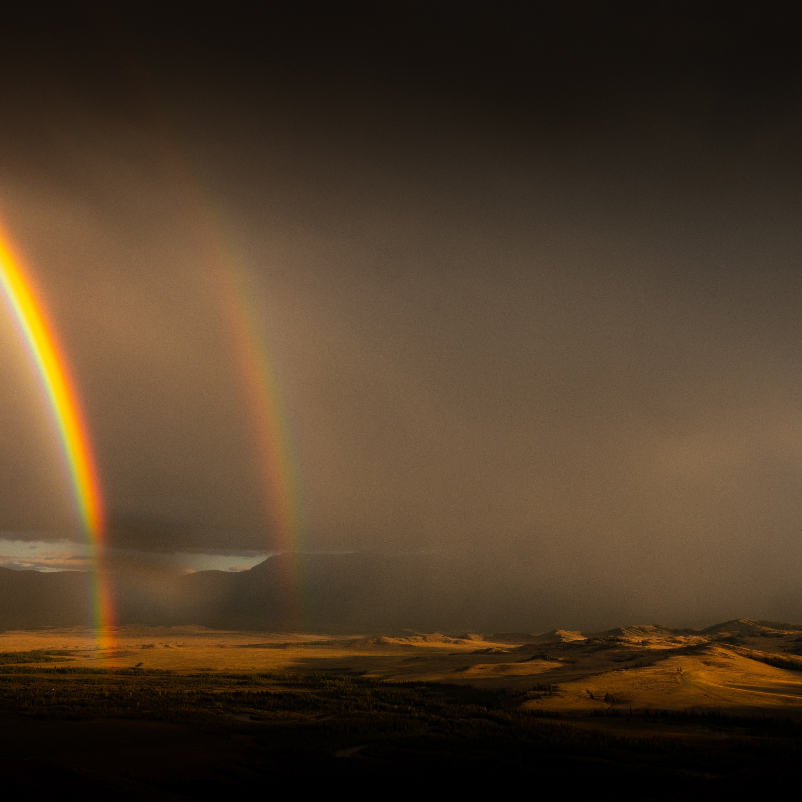 Природа. Видеооператор приключений × Сергей Скрынник