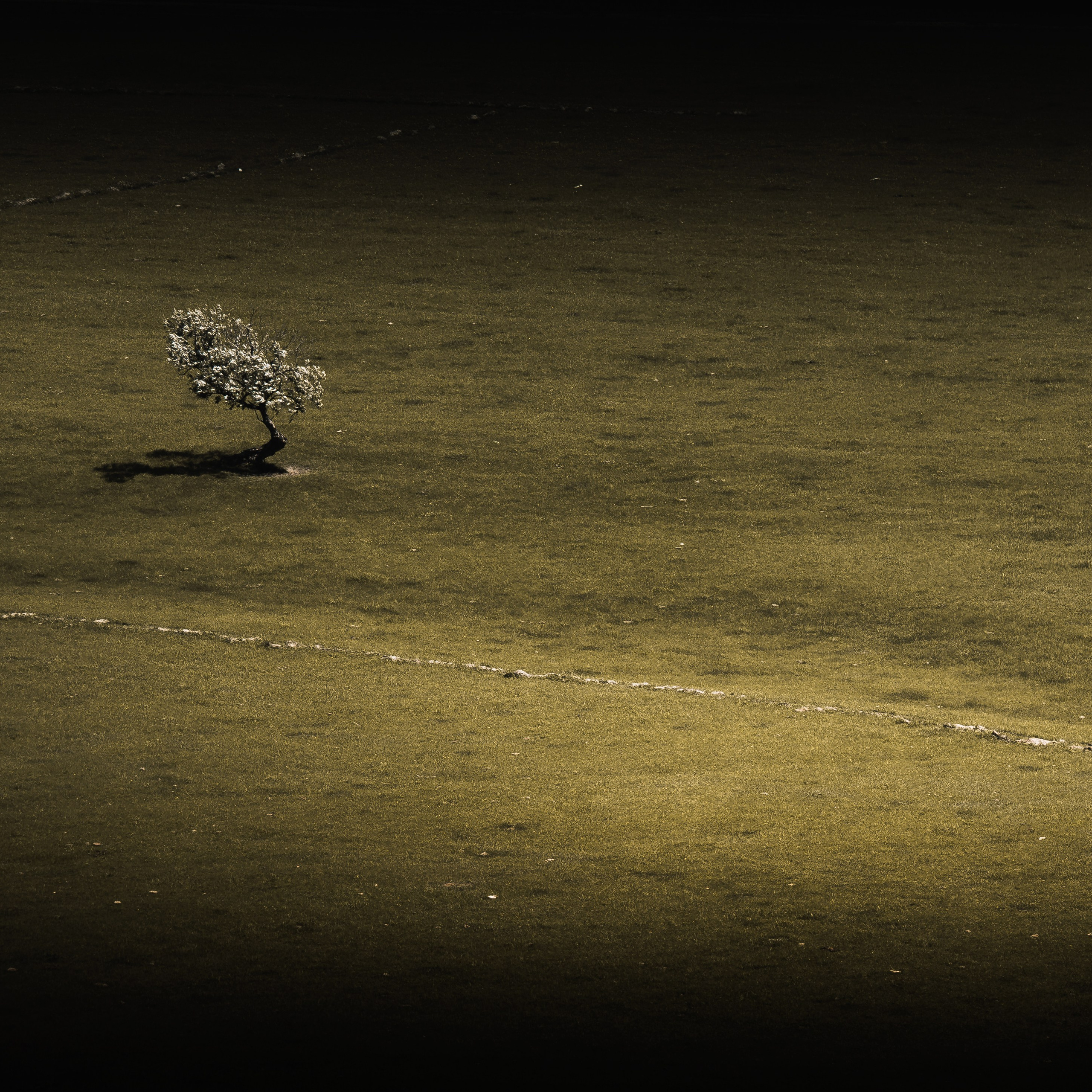 Природа. Видеооператор приключений × Сергей Скрынник