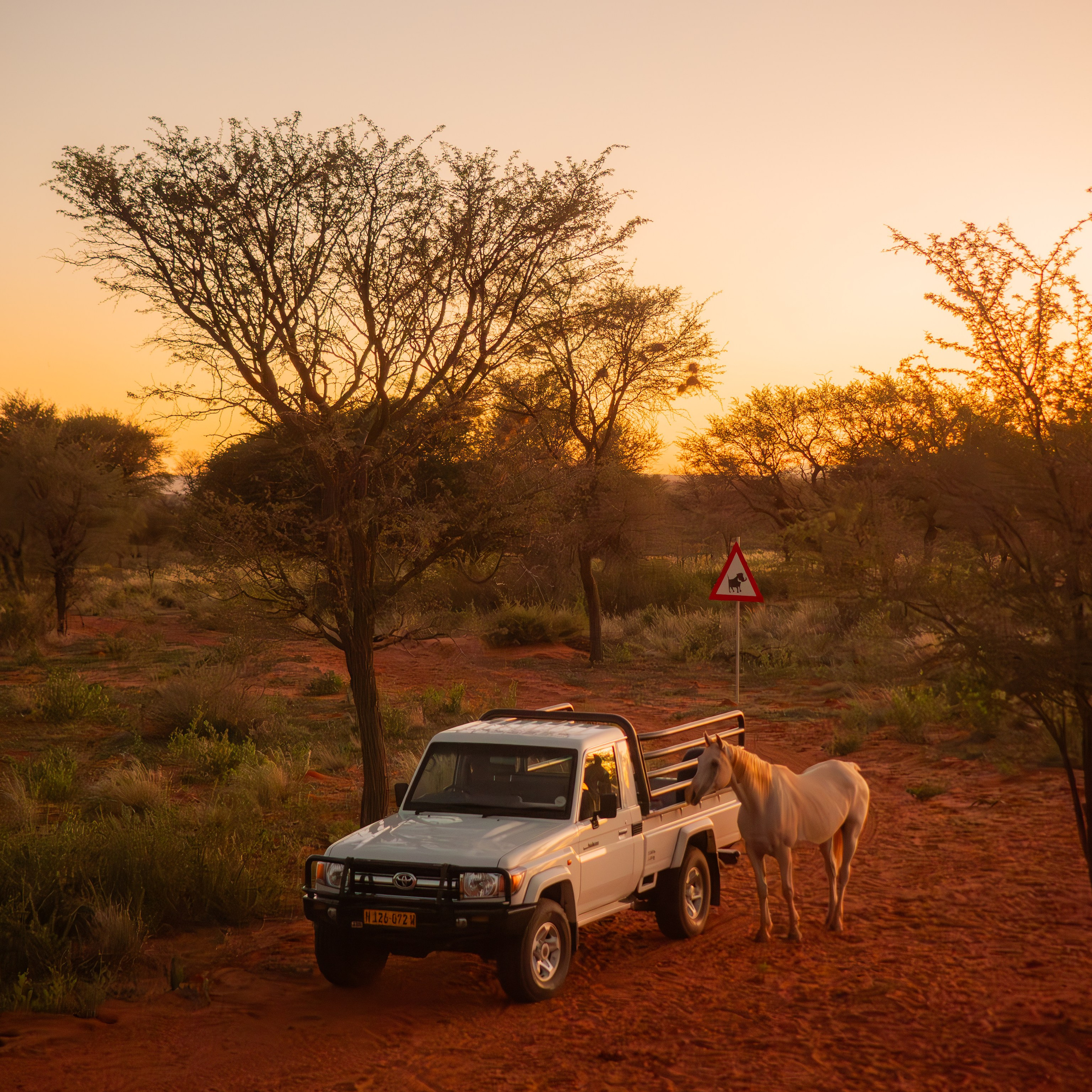 Toyota Land Cruiser 70 × Намибия