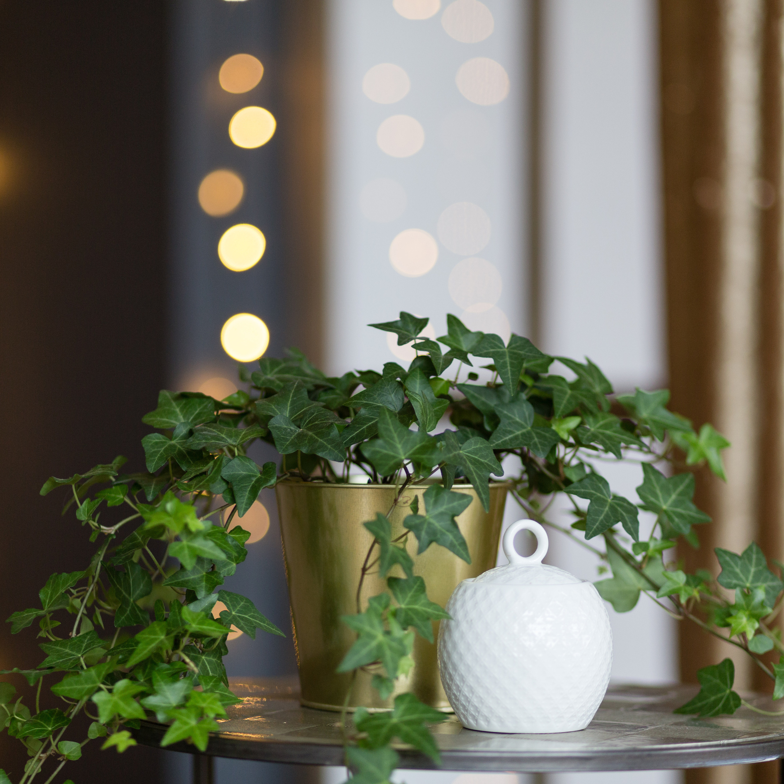 Фотостудия light Room и фотограф Виктория Темирова отзывы. Детская фотостудия Екатеринбург ЛайтРум аренда и фотосессии