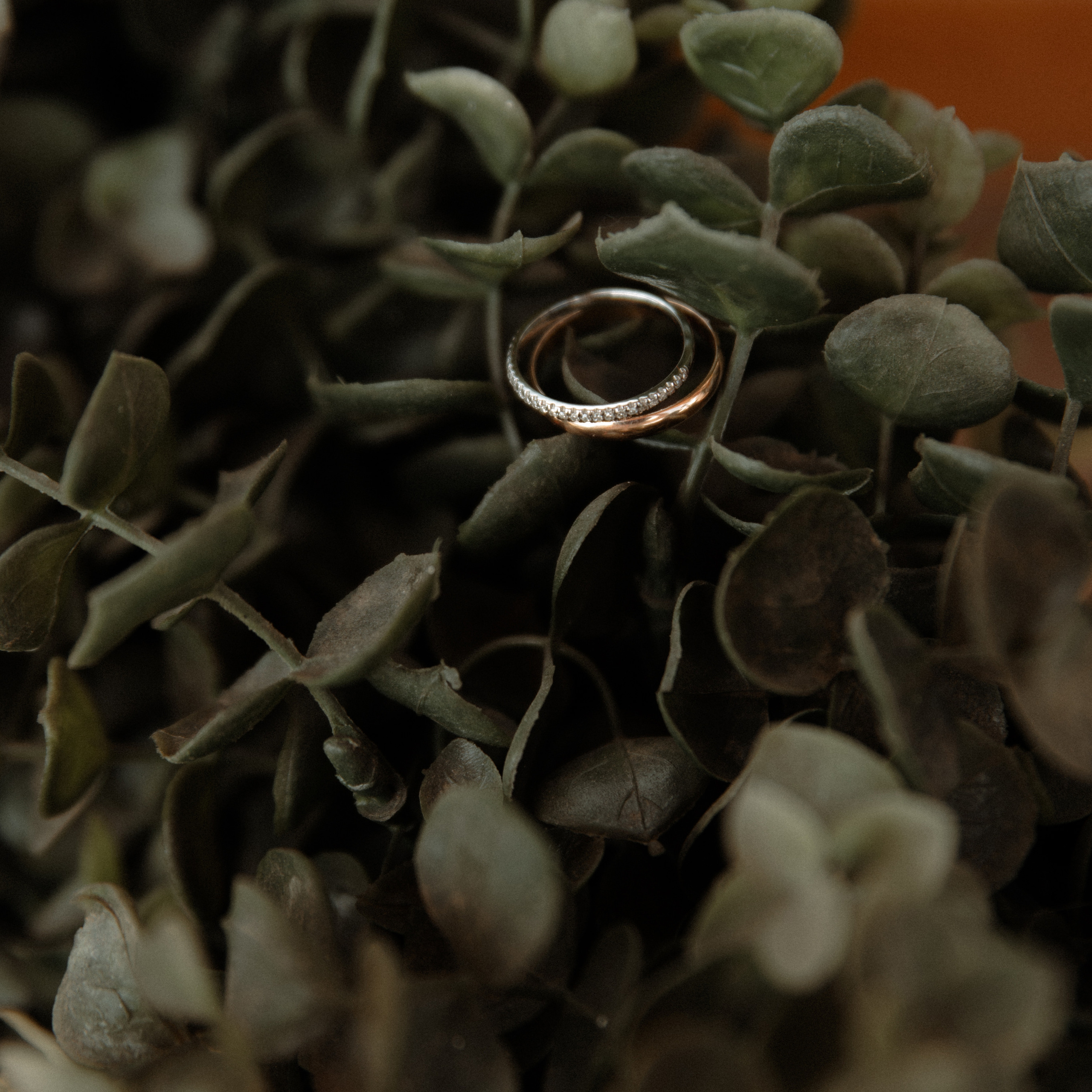 Фотограф Кызыл отзывы. Свадебный фотограф в Кызыле Ай-Херел Ондар