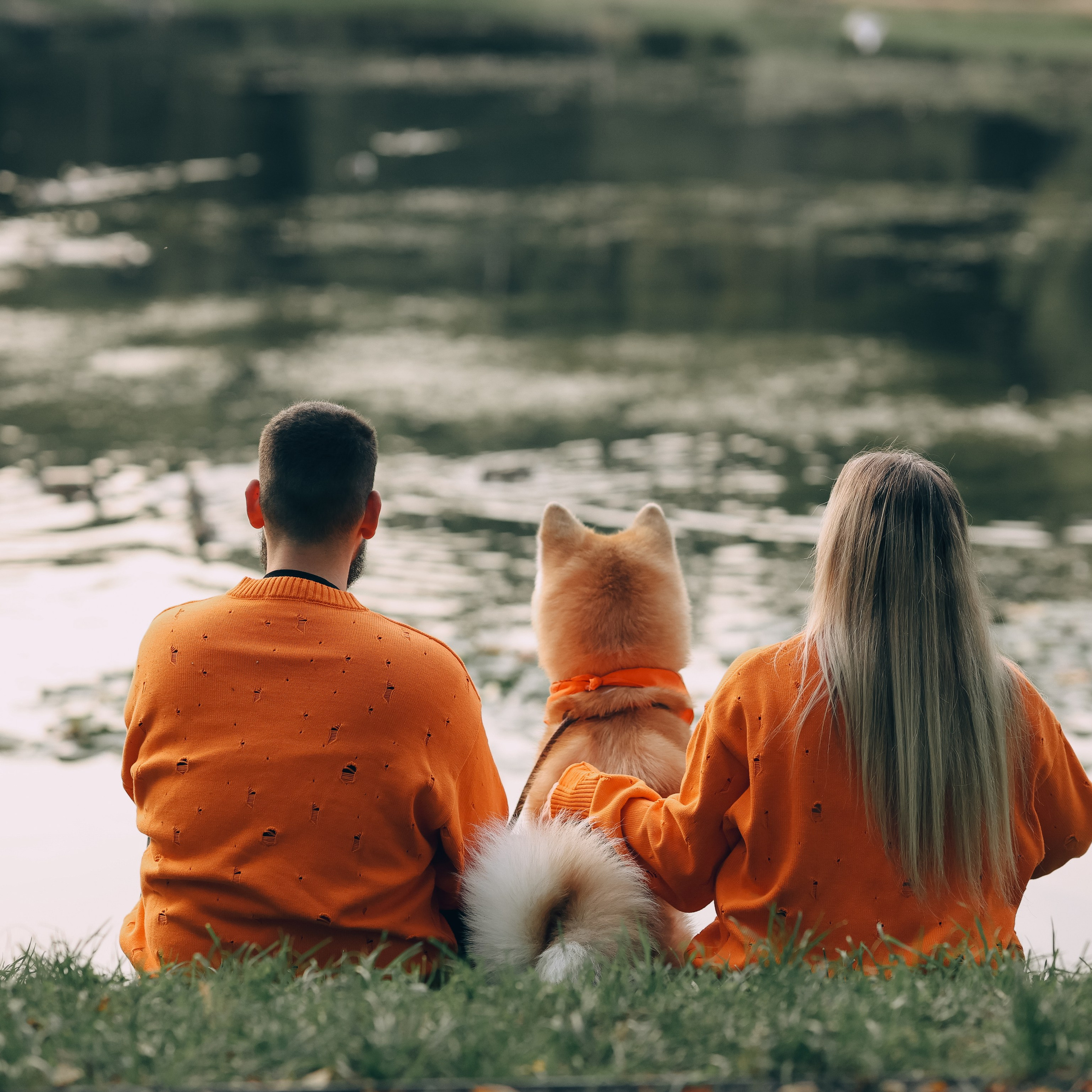 Отзывы. Фотограф-анималист в Москве Кириллова Татьяна