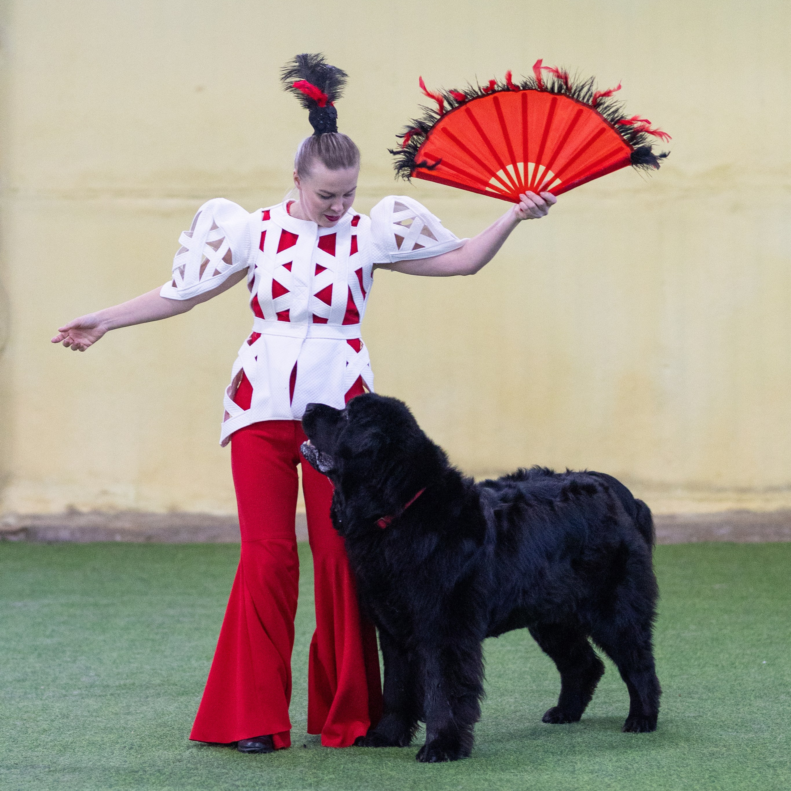 Соревнования танцы