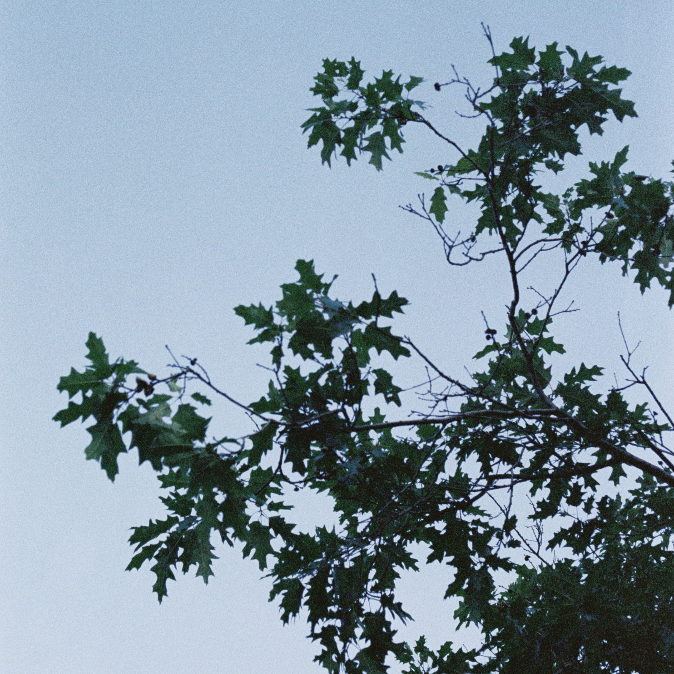 Отзывы фотографа Дмитрия Коломеец. Свадебный и семейный фотограф в Уфе и Башкирии Дмитрий Коломеец