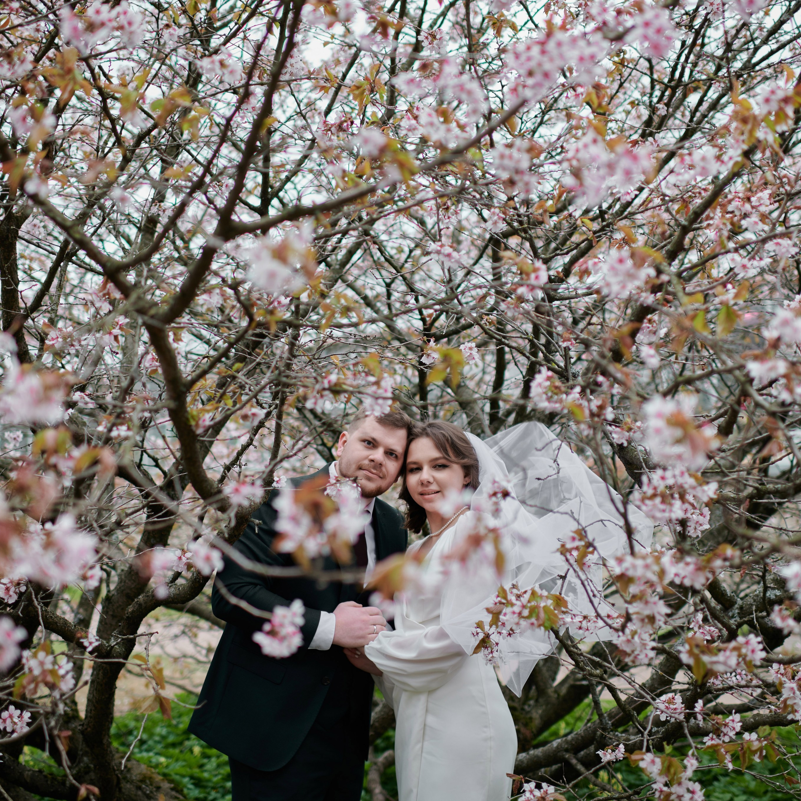 Ксения и Егор (фотосессия в ЗАГСе Петроградского района, Ботаническом саду с сакурой)