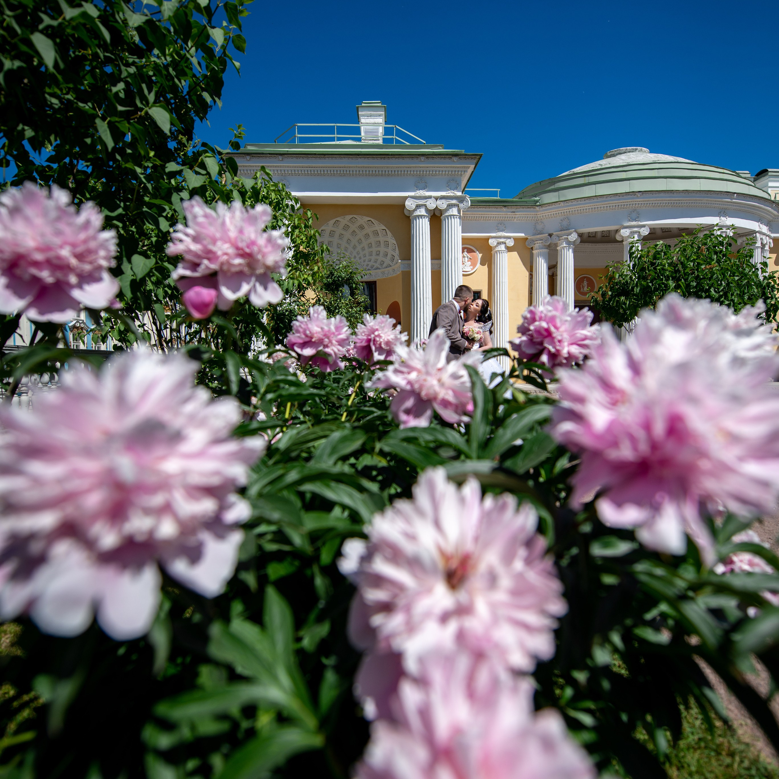 Фотосессия в Пушкине в Александровском, Екатерининском парке и Летнем саду