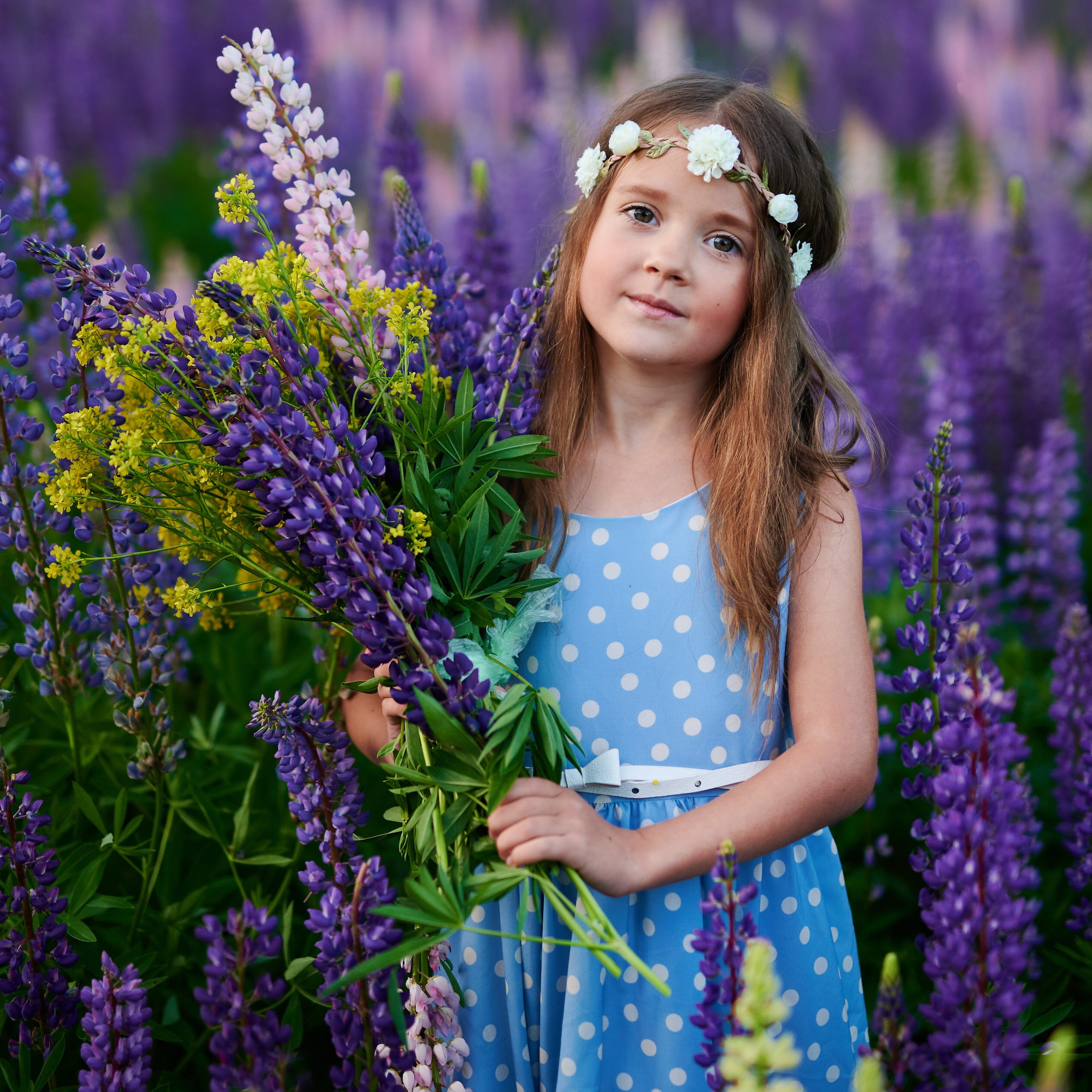 Счастье в люпинах