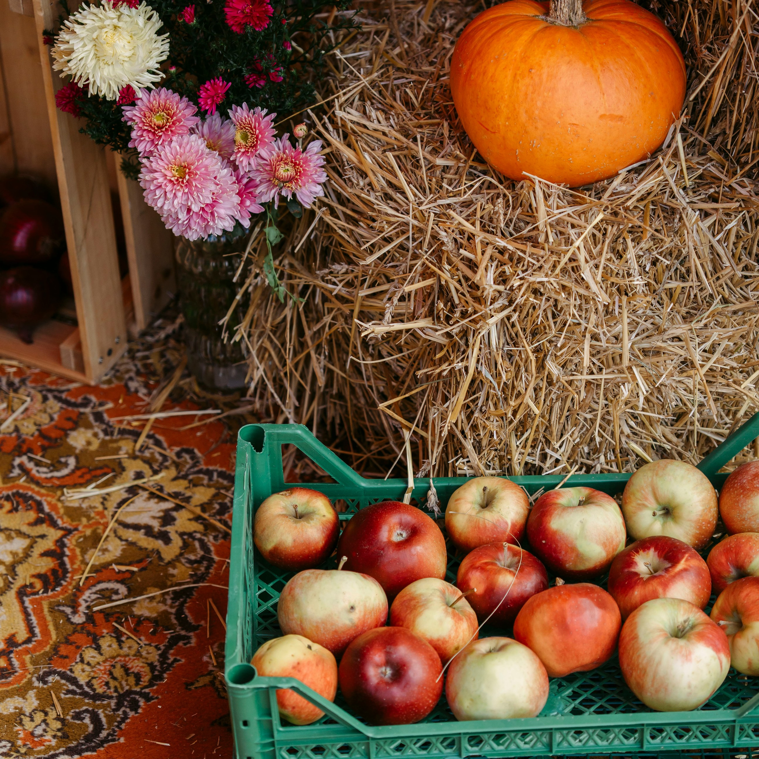 27–28 сентября 2025 в Казани на фестивале «Очень! Осень» / фото Александр Копылов