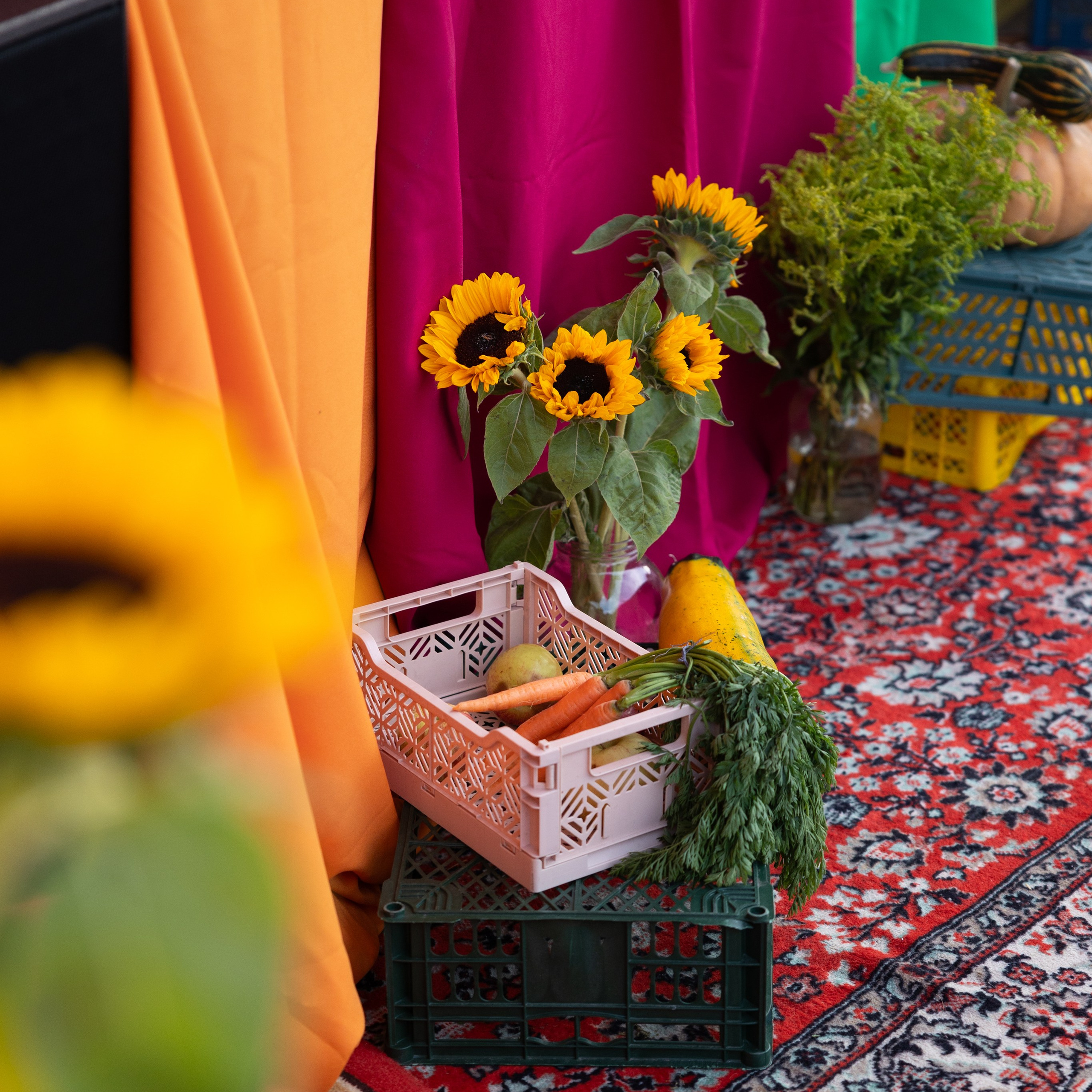 13–14 сентября 2025 на Даниловском рынке / День 1 / фото Саша Жукова