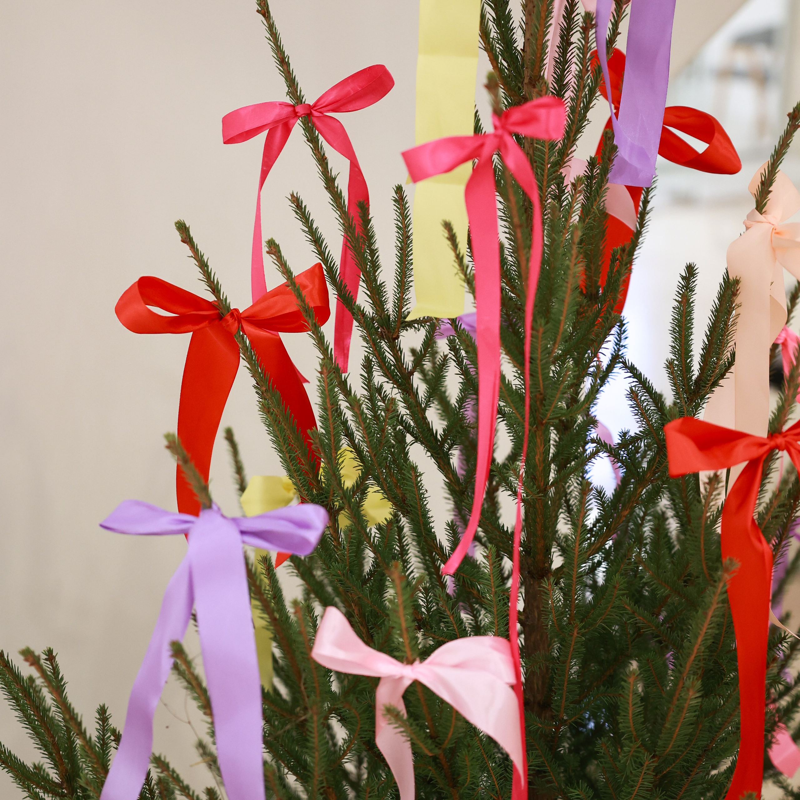 28 и 29 декабря 2024 POP-UP в Лотте Плазе