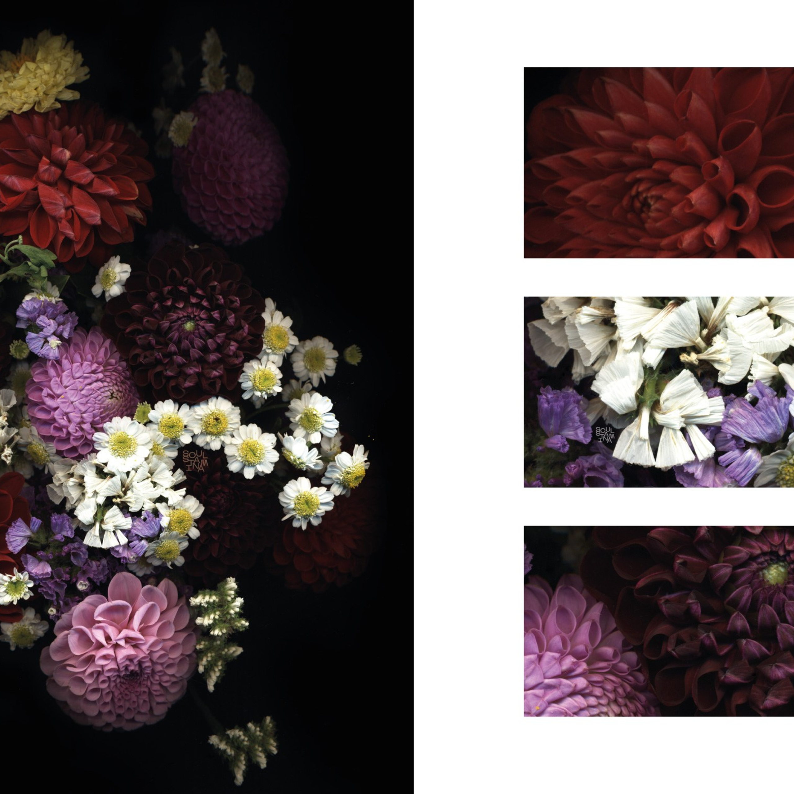 СКАНОГРАФИЯ. Soulstamina ~ graphic designer & visual artist from St.Petersburg