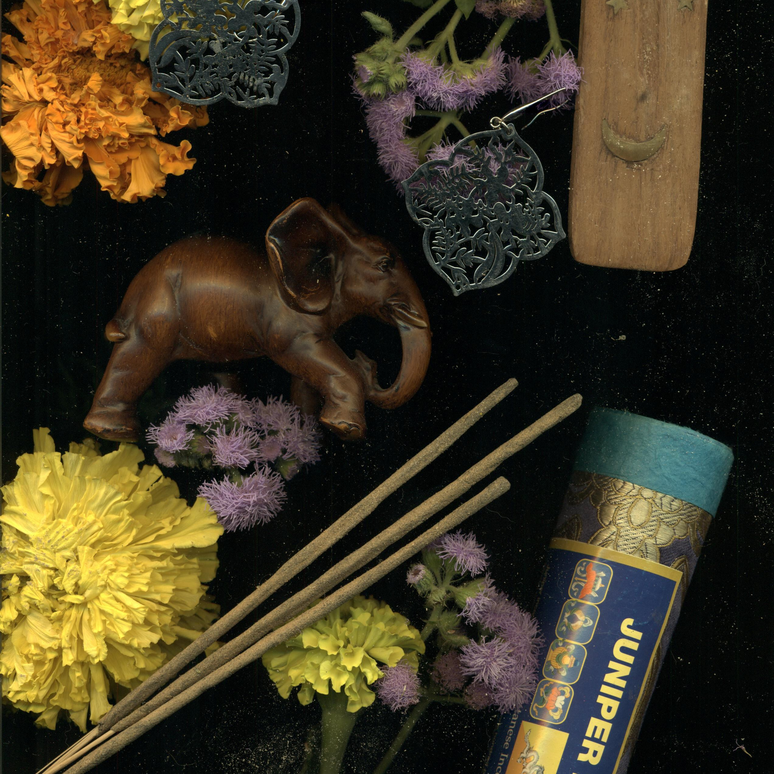 СКАНОГРАФИЯ. Soulstamina ~ graphic designer & visual artist from St.Petersburg