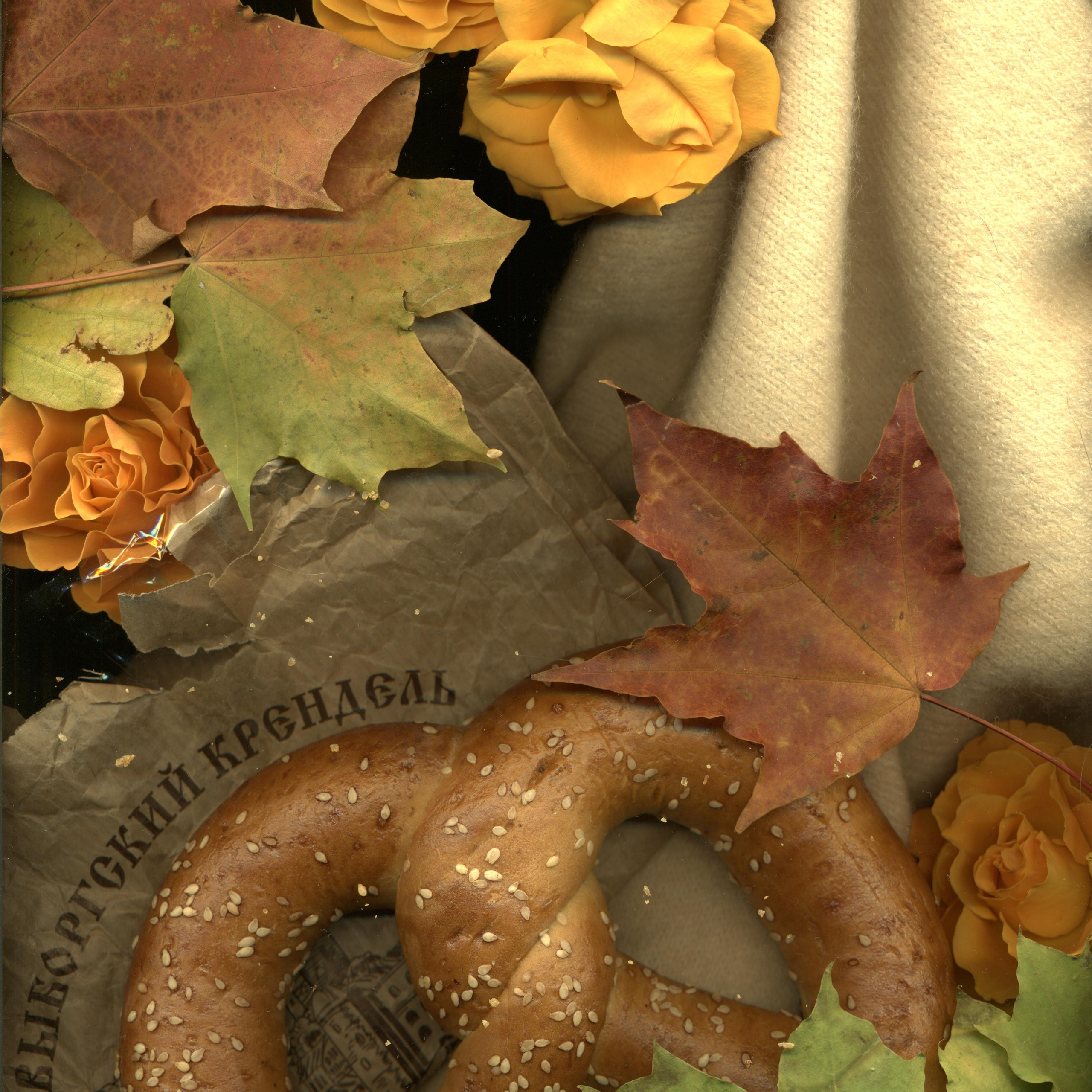 СКАНОГРАФИЯ. Soulstamina ~ graphic designer & visual artist from St.Petersburg