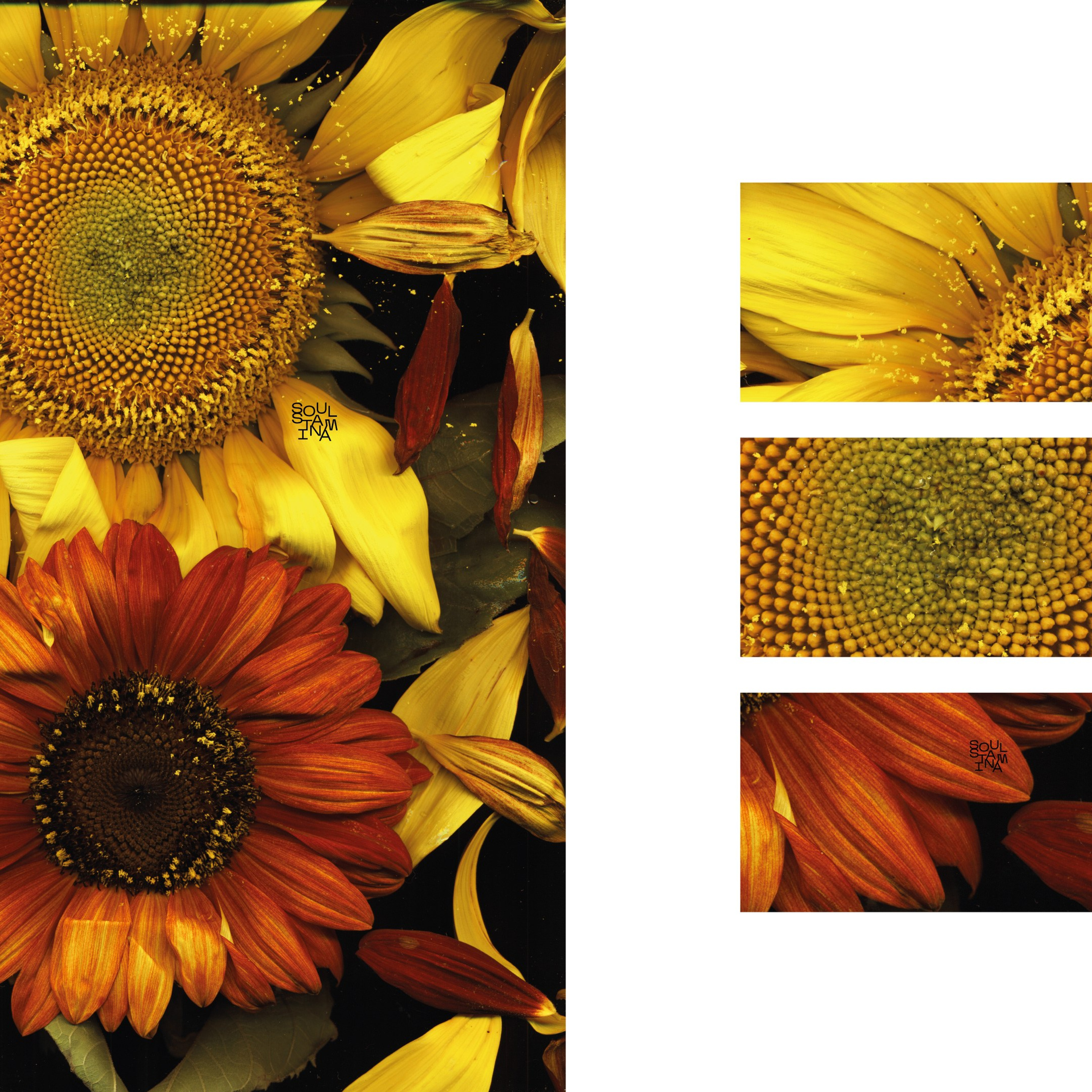 СКАНОГРАФИЯ. Soulstamina ~ graphic designer & visual artist from St.Petersburg