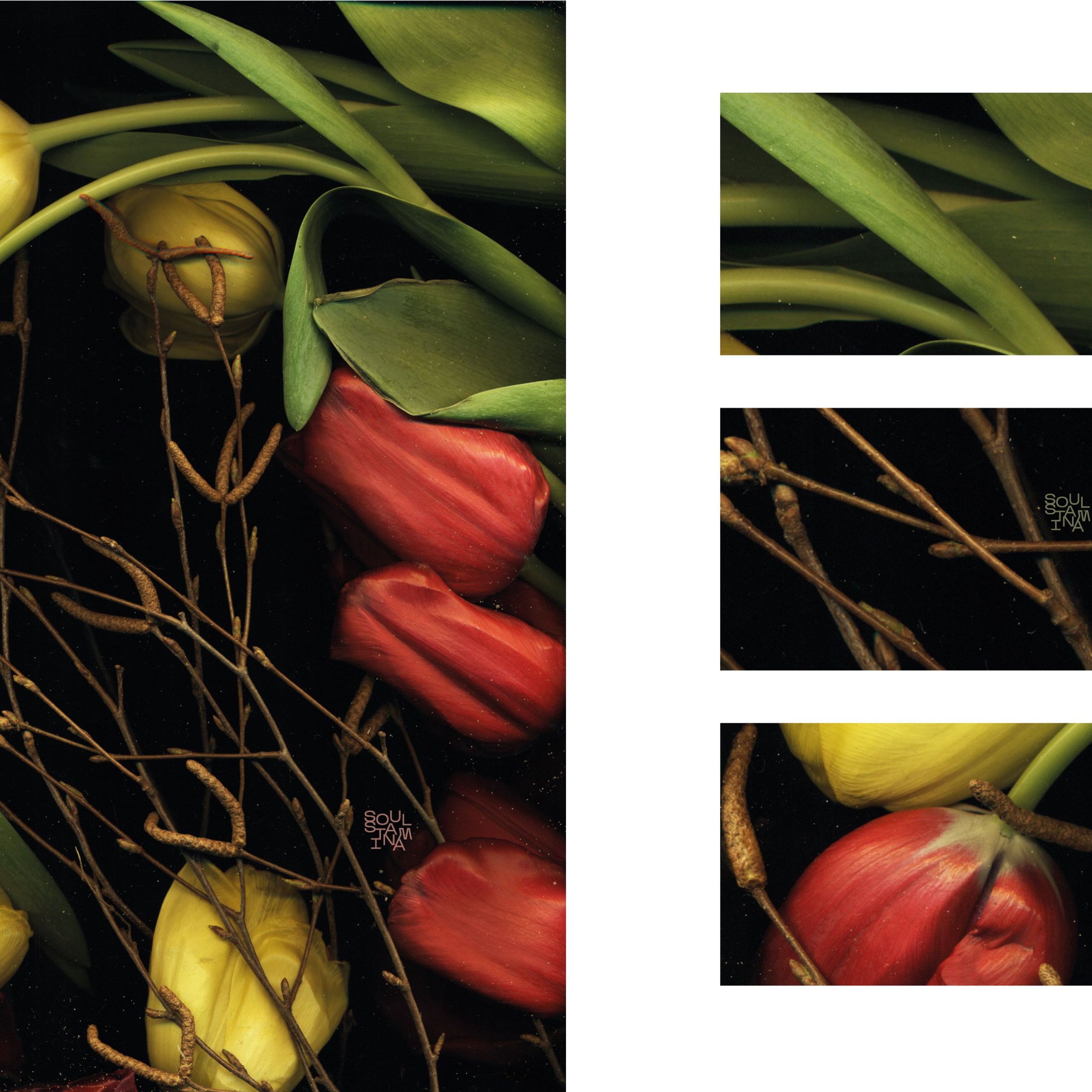 СКАНОГРАФИЯ. Soulstamina ~ graphic designer & visual artist from St.Petersburg