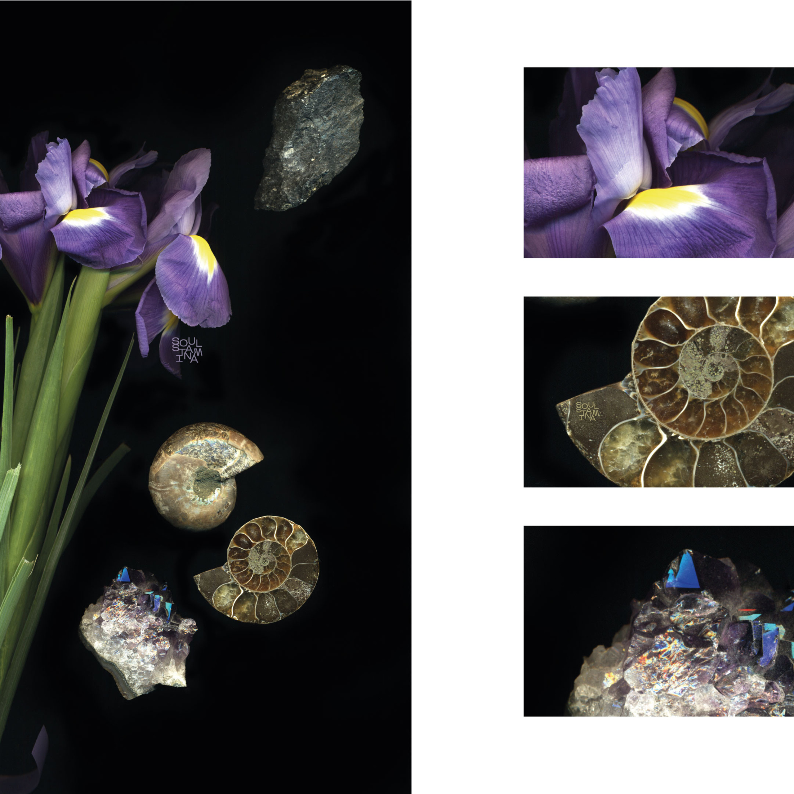 СКАНОГРАФИЯ. Soulstamina ~ graphic designer & visual artist from St.Petersburg