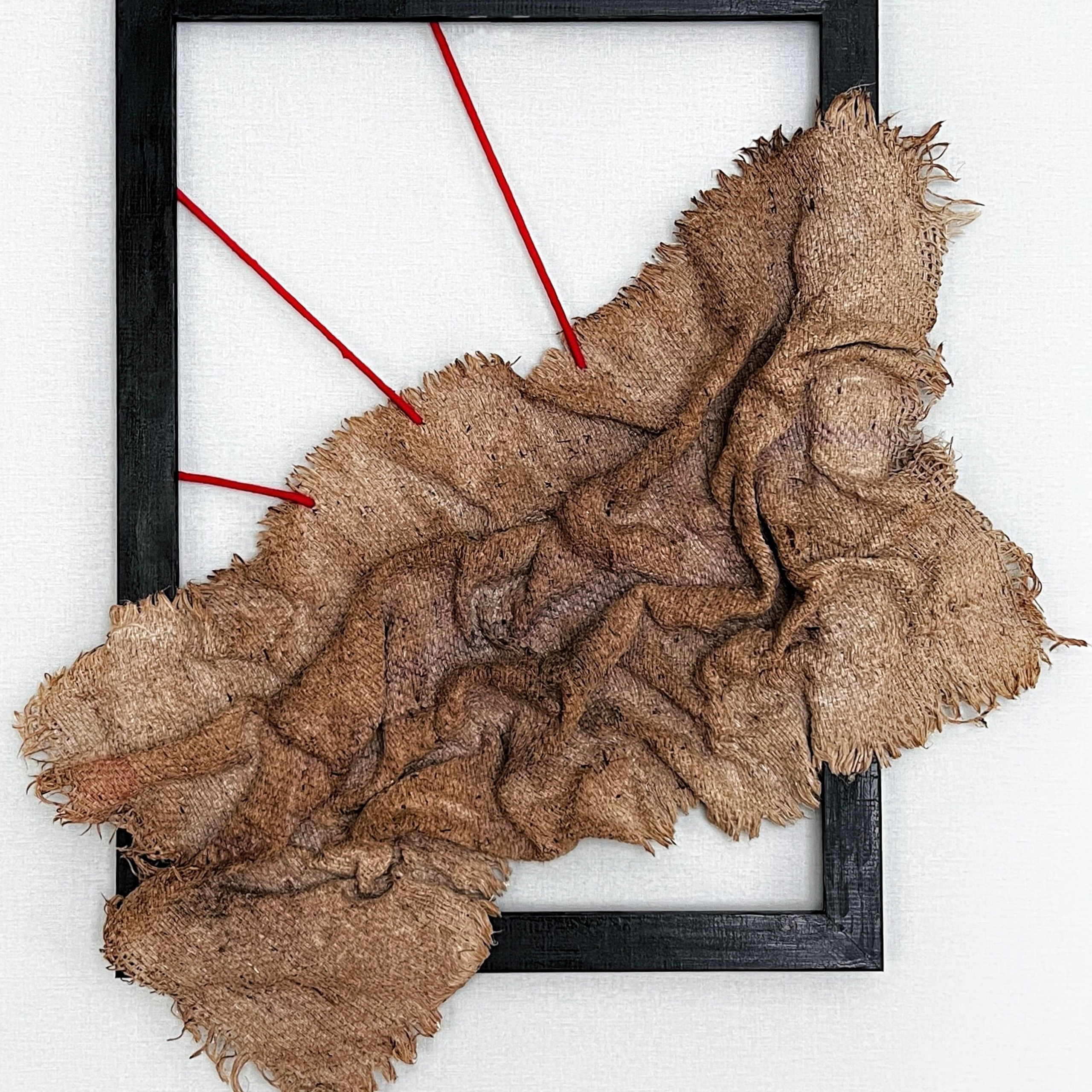 Метаморфозы. 2023