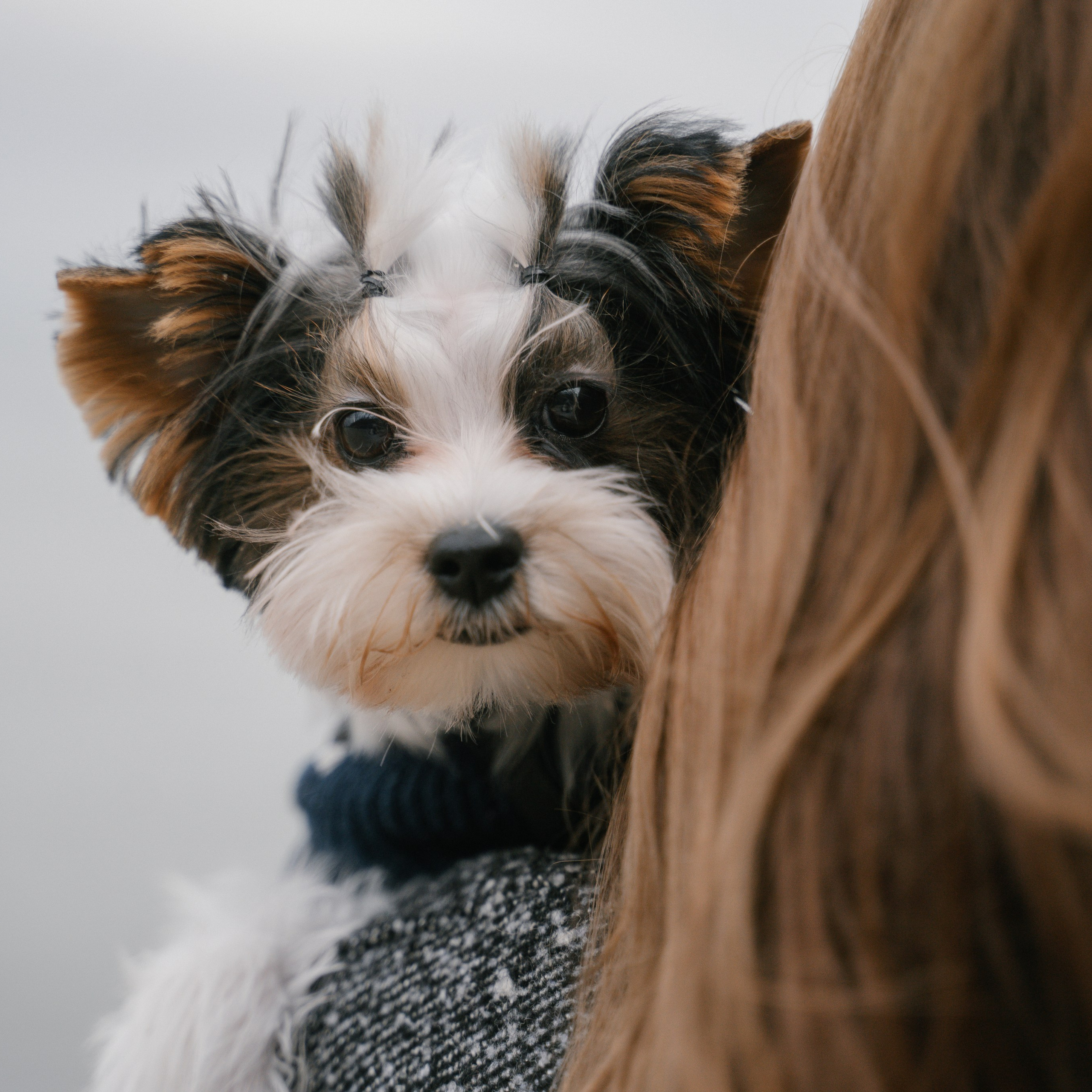 Отзывы. Семейный и свадебный фотограф Мария Нетребко г. Калининград