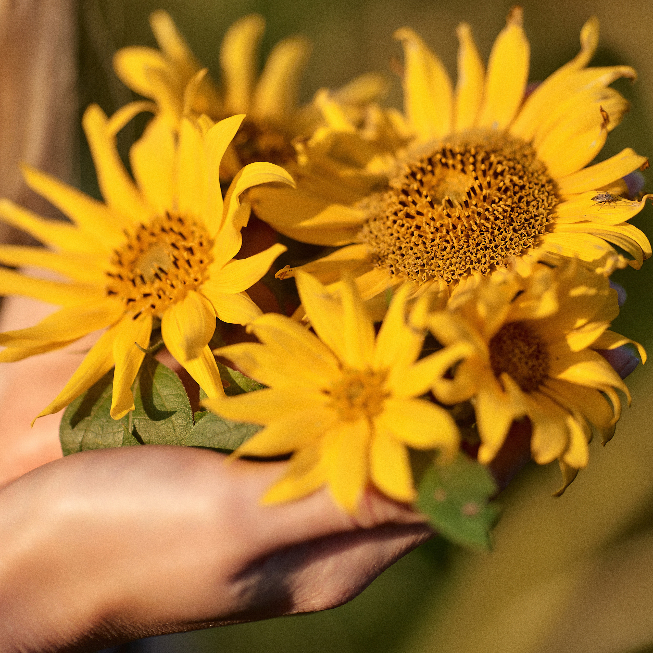 Блог. Фотограф в Минске Анна Кучинская