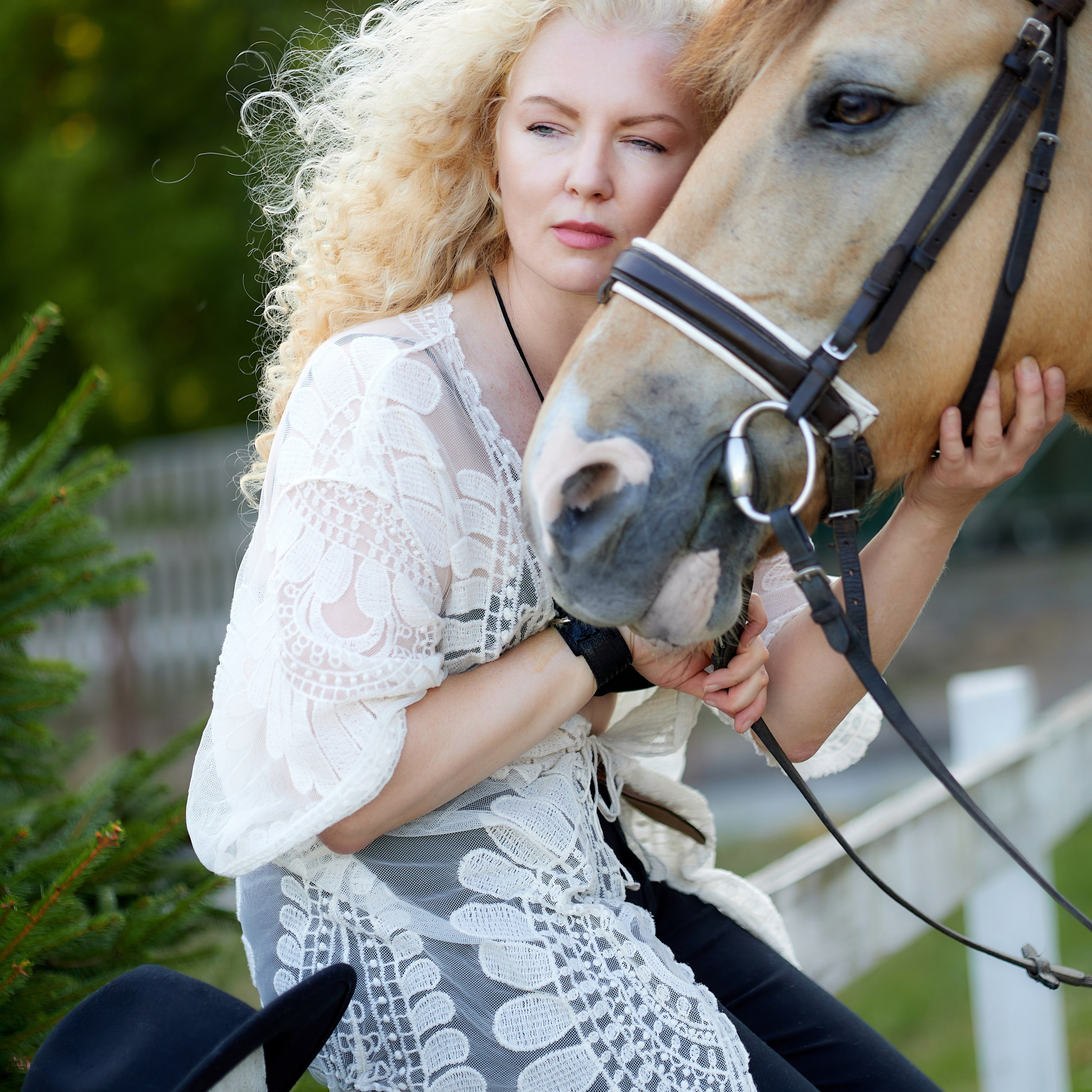 Фотодень с лошадками