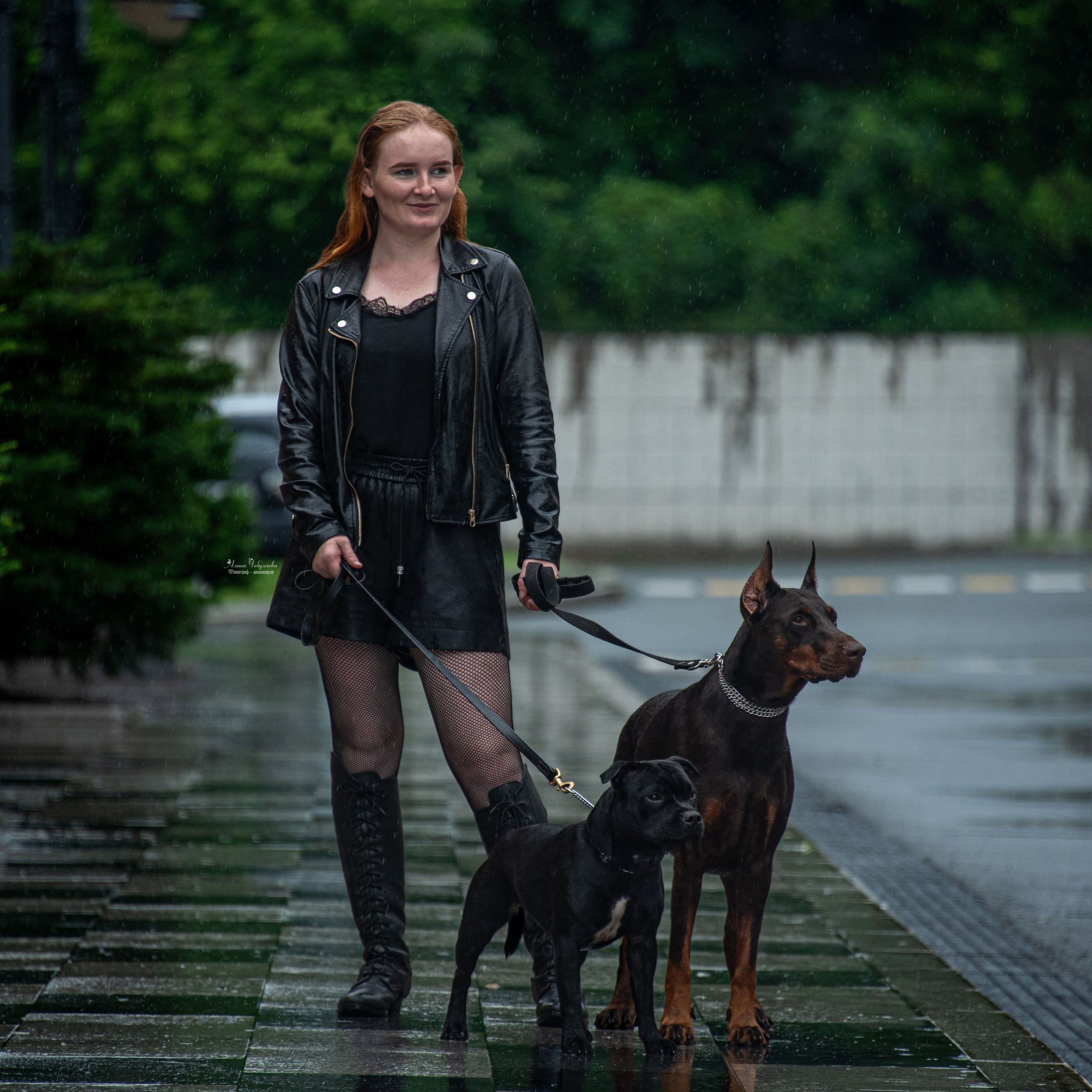 Под дождем — Владивосток 2026 г. Фотограф — анималист Алина Чебулаева г. Находка