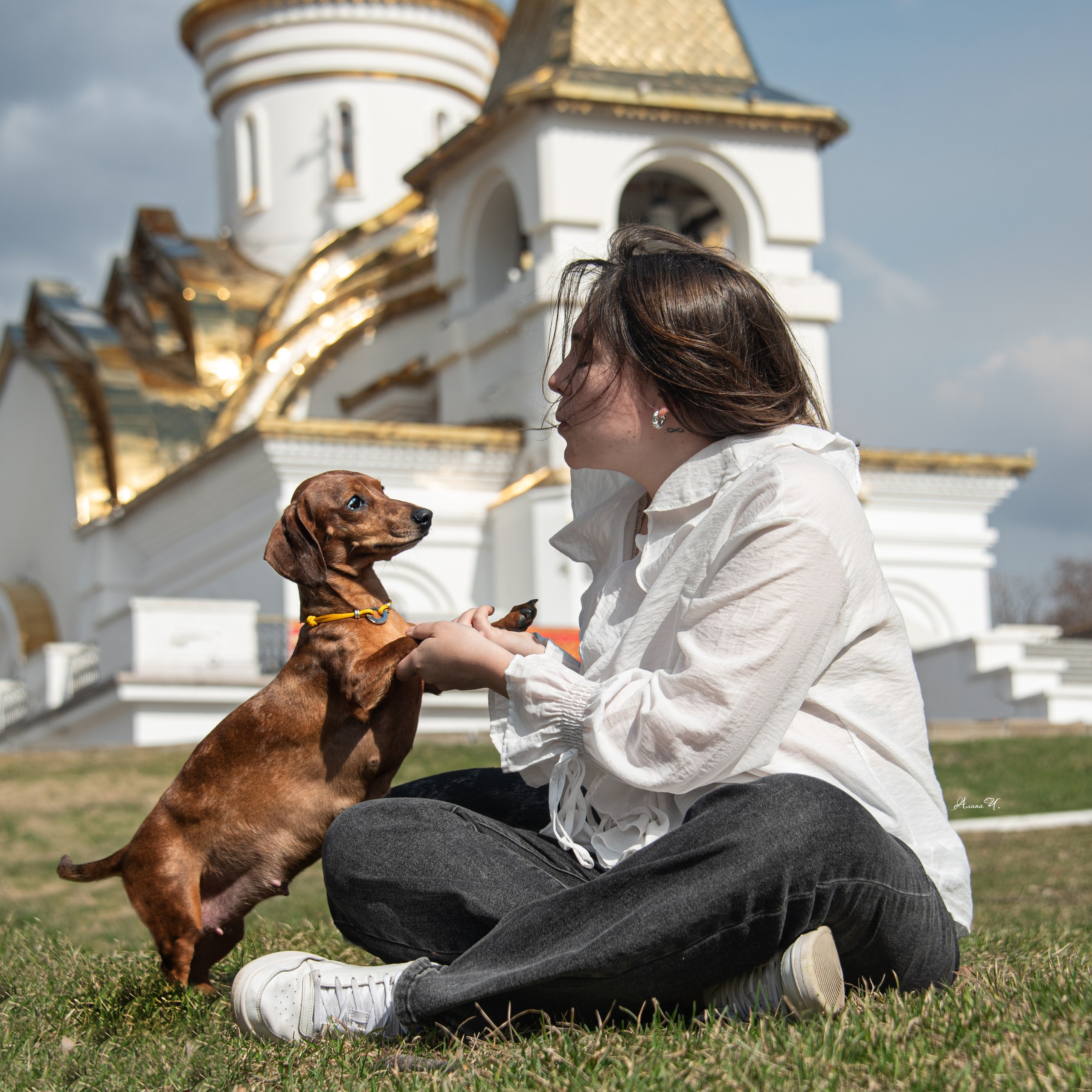 Алина и её «Три мушкетёра» — Хабаровск 2026 год. Фотограф — анималист Алина Чебулаева г. Находка