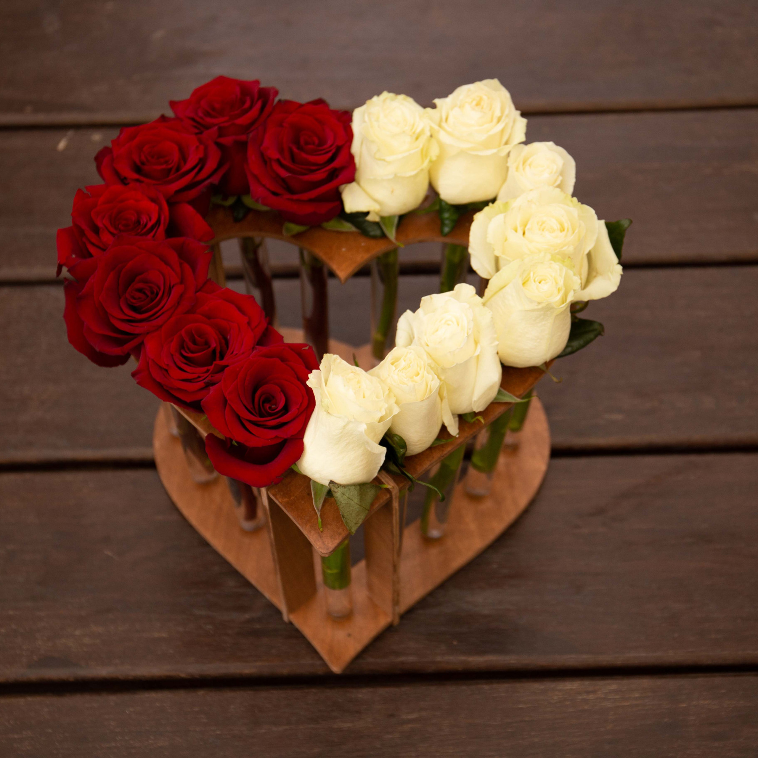 Отзывы о фотографе Александра Долбикова. Художественный фотограф Анапа Александра Долбикова